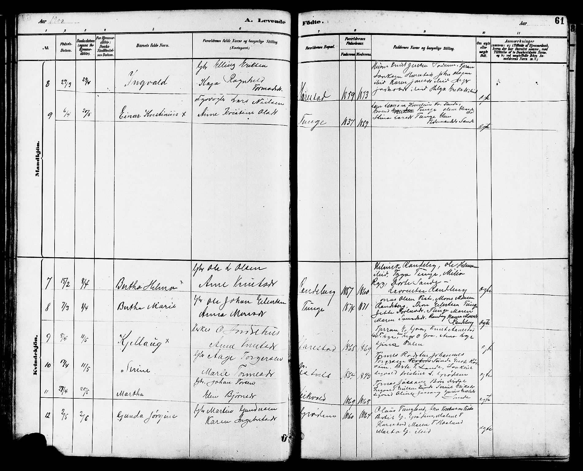 Hetland sokneprestkontor, AV/SAST-A-101826/30/30BB/L0006: Parish register (copy) no. B 6, 1878-1921, p. 61