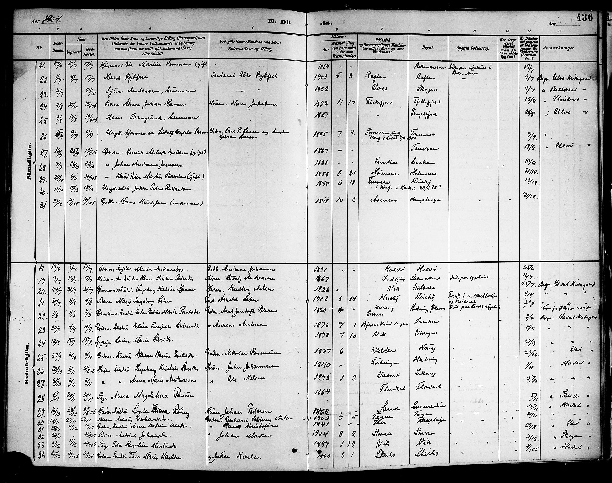 Ministerialprotokoller, klokkerbøker og fødselsregistre - Nordland, AV/SAT-A-1459/888/L1268: Parish register (copy) no. 888C06, 1891-1908, p. 436