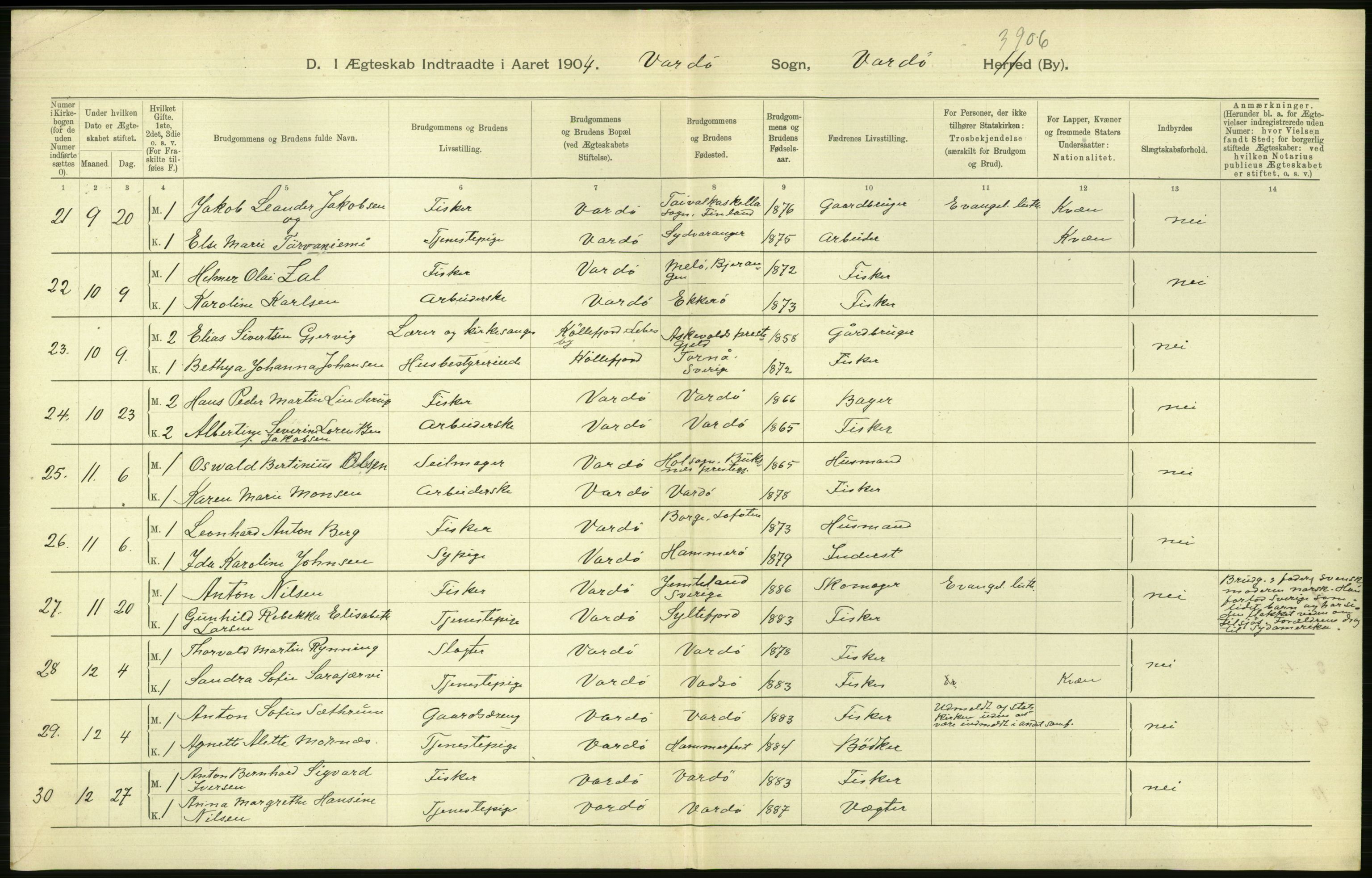 Statistisk sentralbyrå, Sosiodemografiske emner, Befolkning, AV/RA-S-2228/D/Df/Dfa/Dfab/L0023: Finnmarkens amt: Fødte, gifte, døde, 1904, p. 210