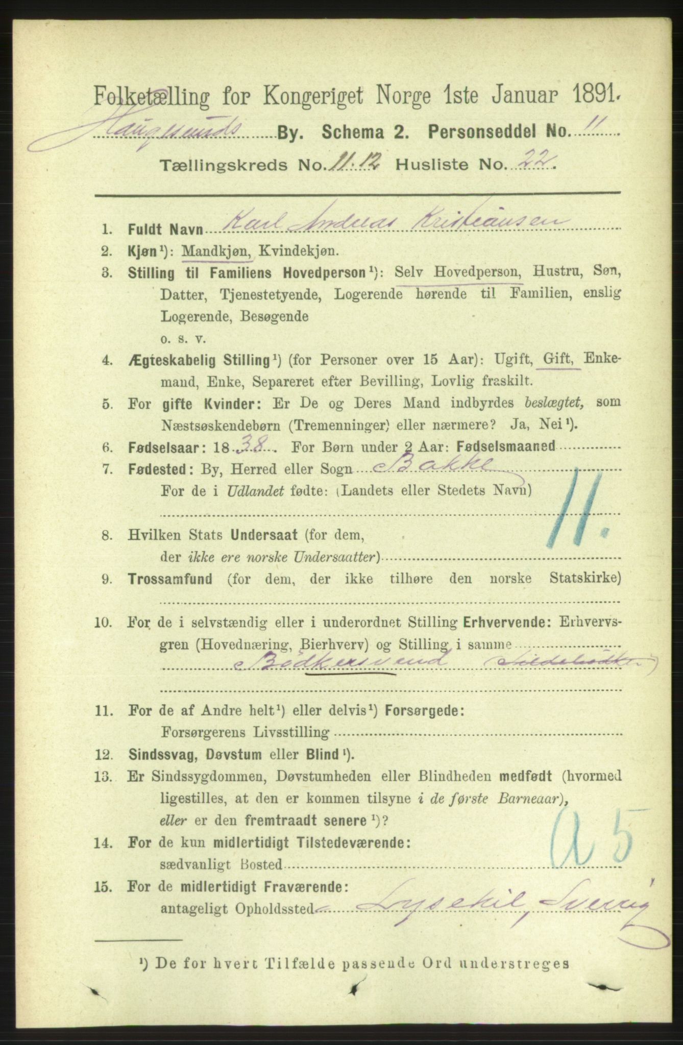 RA, 1891 census for 1106 Haugesund, 1891, p. 4226