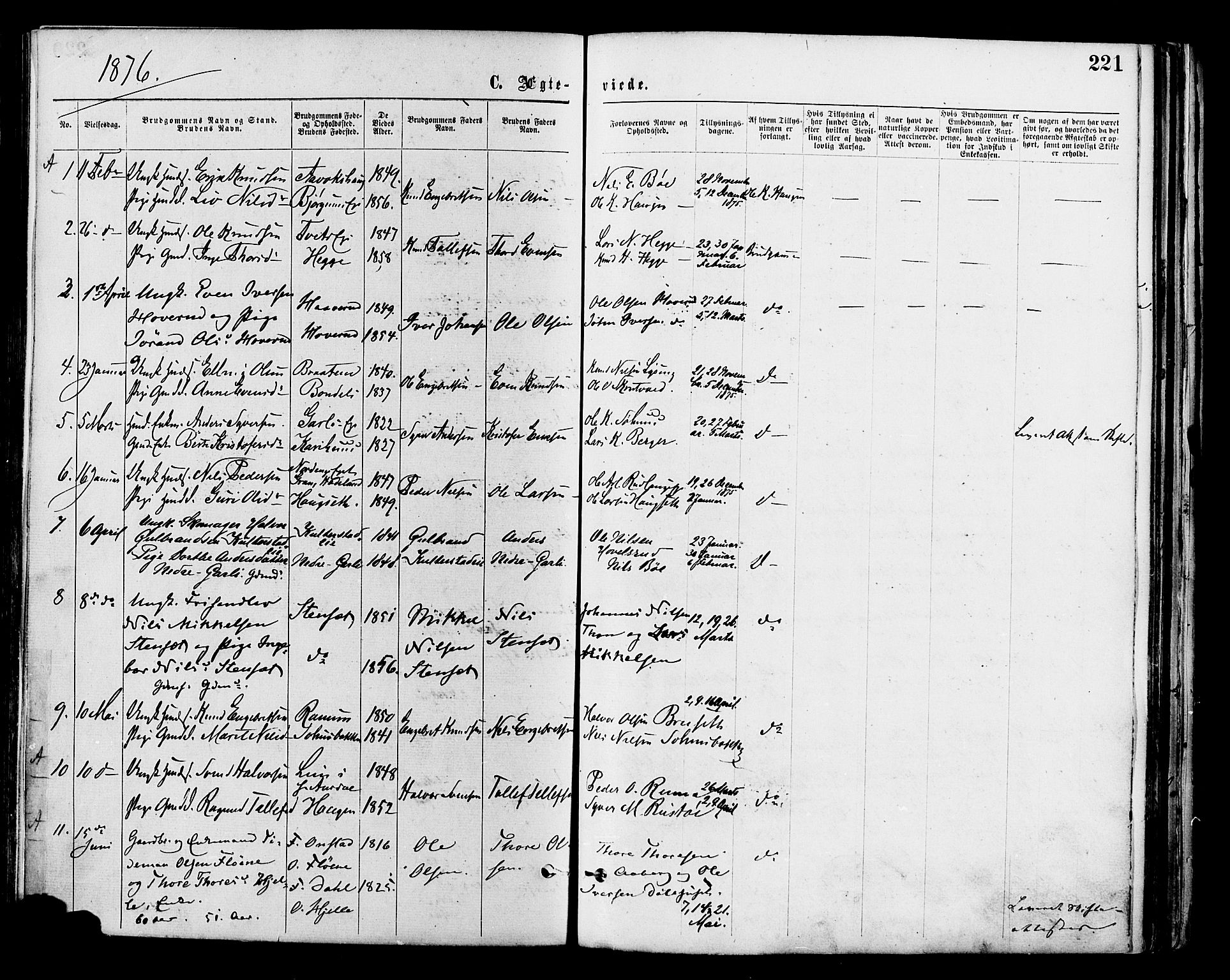 Nord-Aurdal prestekontor, AV/SAH-PREST-132/H/Ha/Haa/L0009: Parish register (official) no. 9, 1876-1882, p. 221