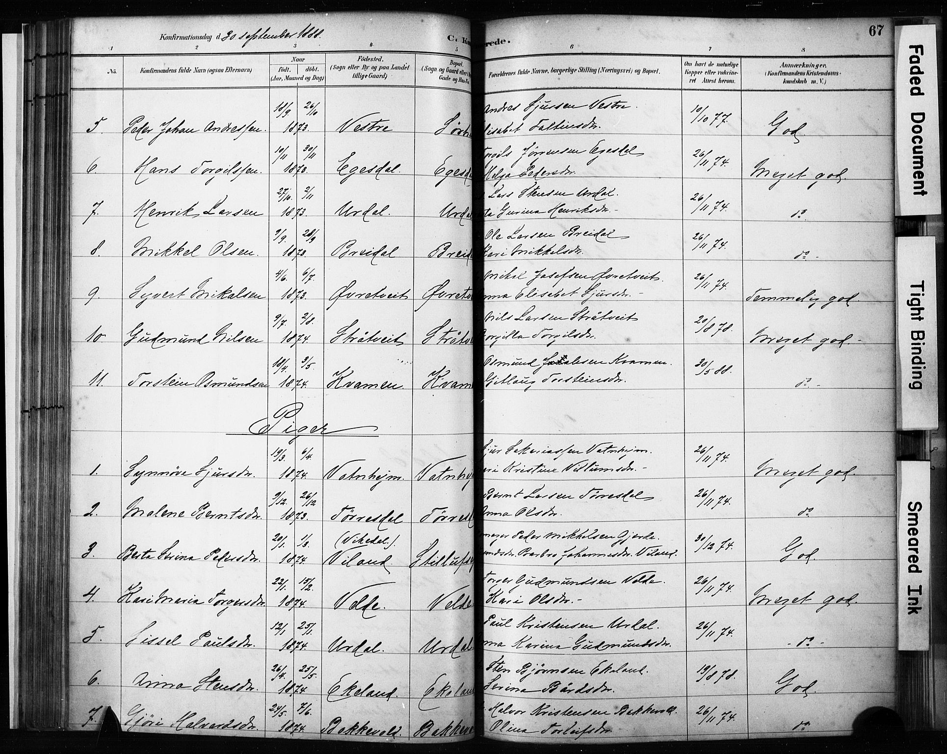 Skjold sokneprestkontor, AV/SAST-A-101847/H/Ha/Haa/L0009: Parish register (official) no. A 9, 1882-1898, p. 67