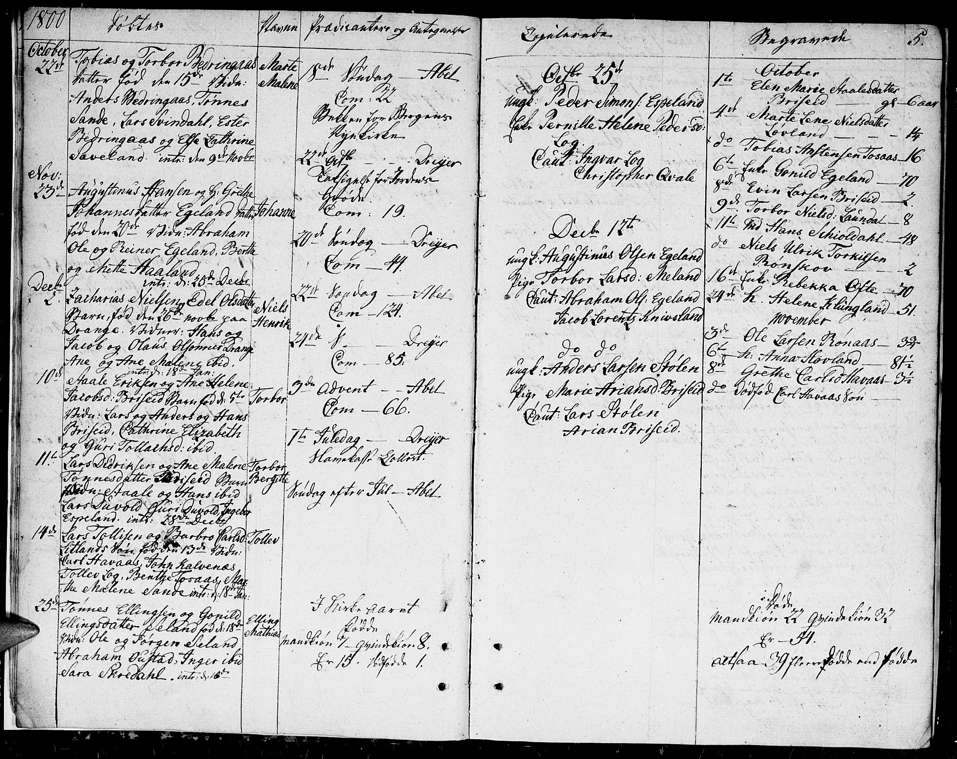 Herad sokneprestkontor, AV/SAK-1111-0018/F/Fa/Faa/L0002: Parish register (official) no. A 2, 1800-1815, p. 5