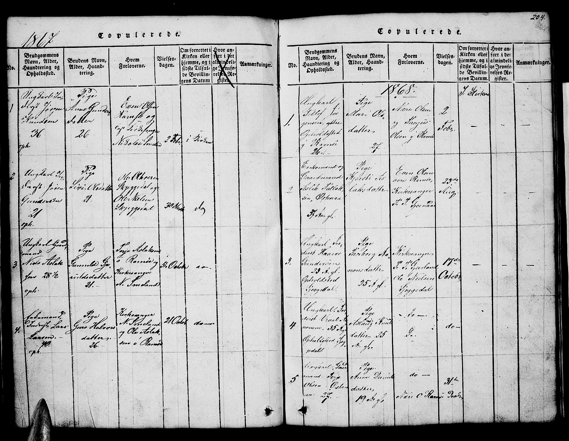 Åmli sokneprestkontor, SAK/1111-0050/F/Fb/Fbb/L0001: Parish register (copy) no. B 1, 1816-1889, p. 204