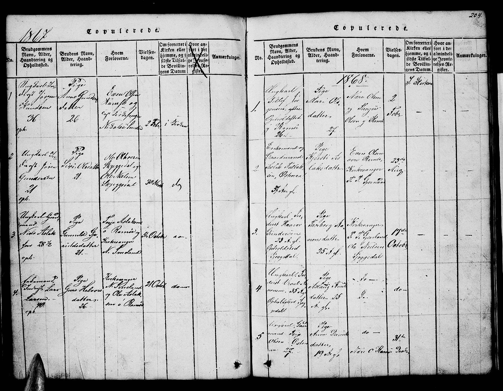 Åmli sokneprestkontor, AV/SAK-1111-0050/F/Fb/Fbb/L0001: Parish register (copy) no. B 1, 1816-1889, p. 204