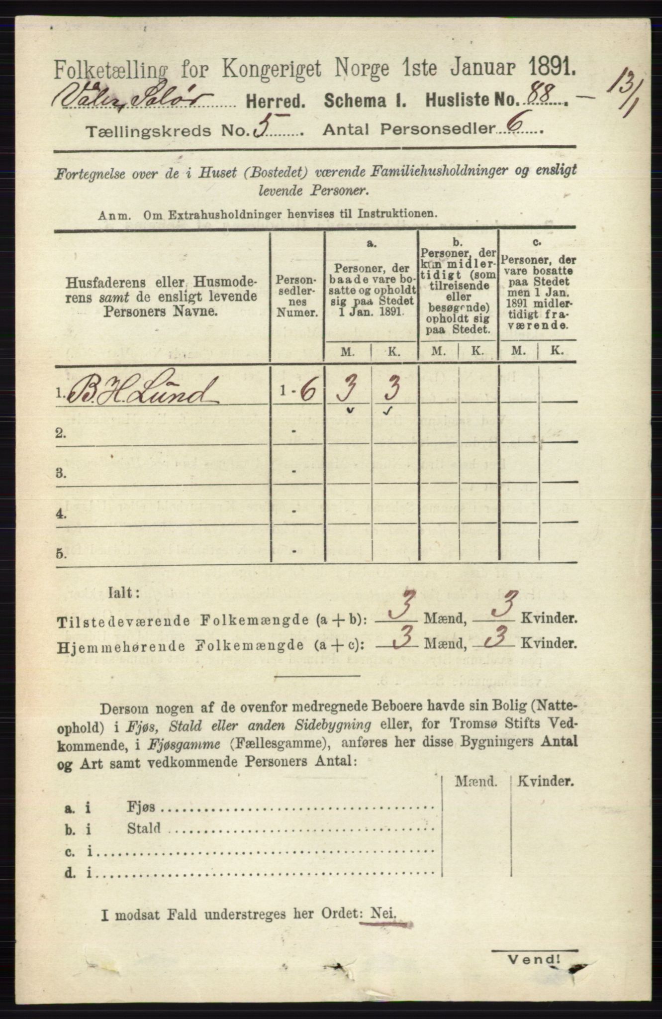 RA, 1891 census for 0426 Våler, 1891, p. 1894