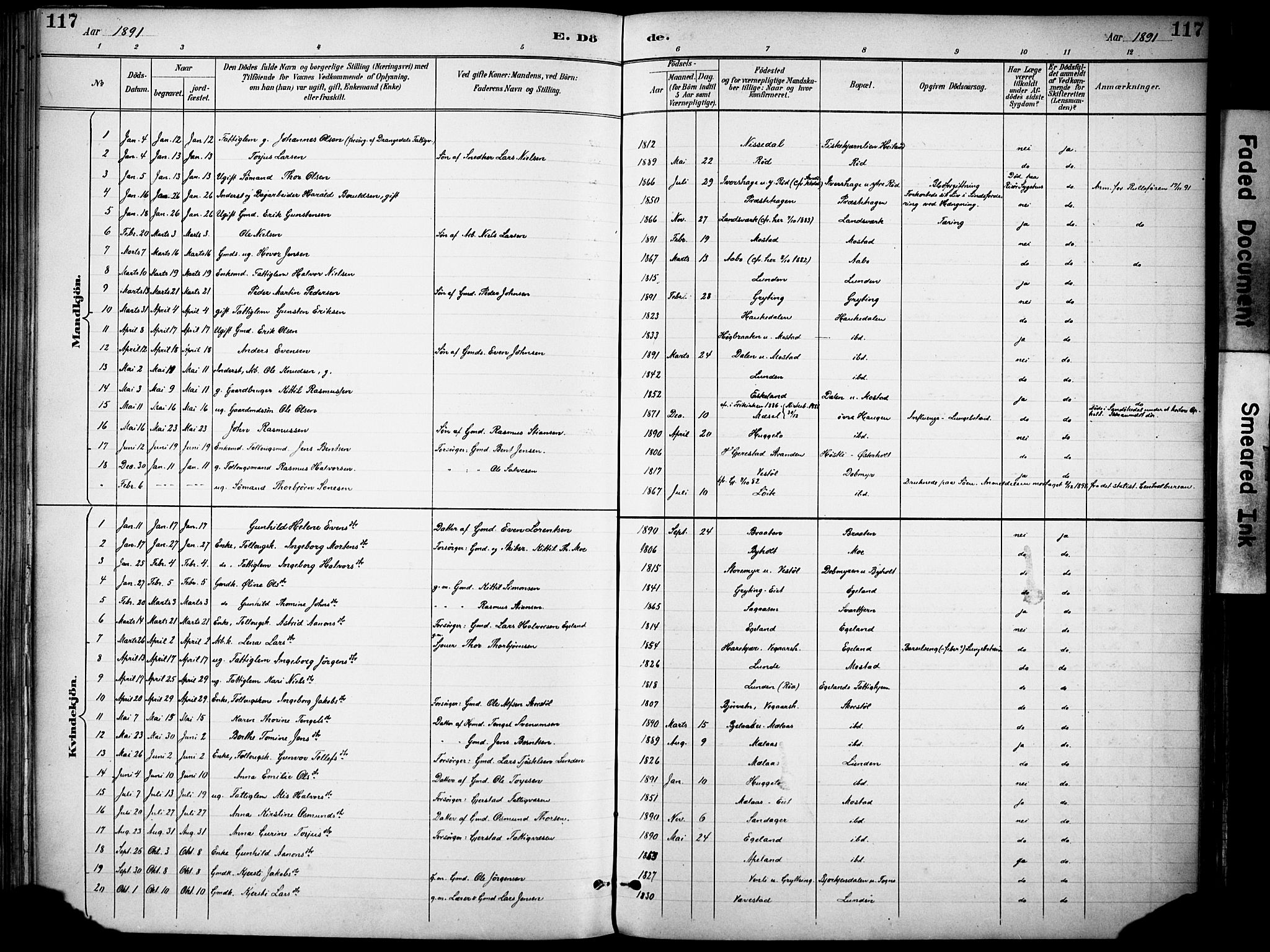 Gjerstad sokneprestkontor, AV/SAK-1111-0014/F/Fa/Faa/L0010: Parish register (official) no. A 10, 1891-1902, p. 117