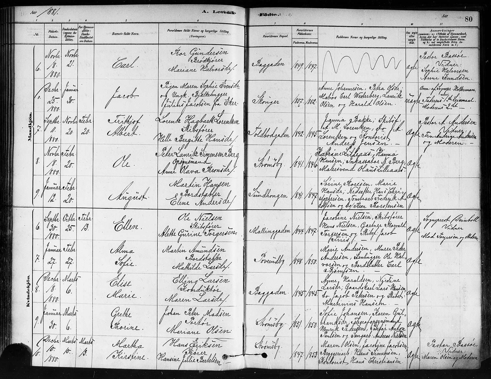 Strømsø kirkebøker, AV/SAKO-A-246/F/Fa/L0021: Parish register (official) no. I 21, 1878-1885, p. 80