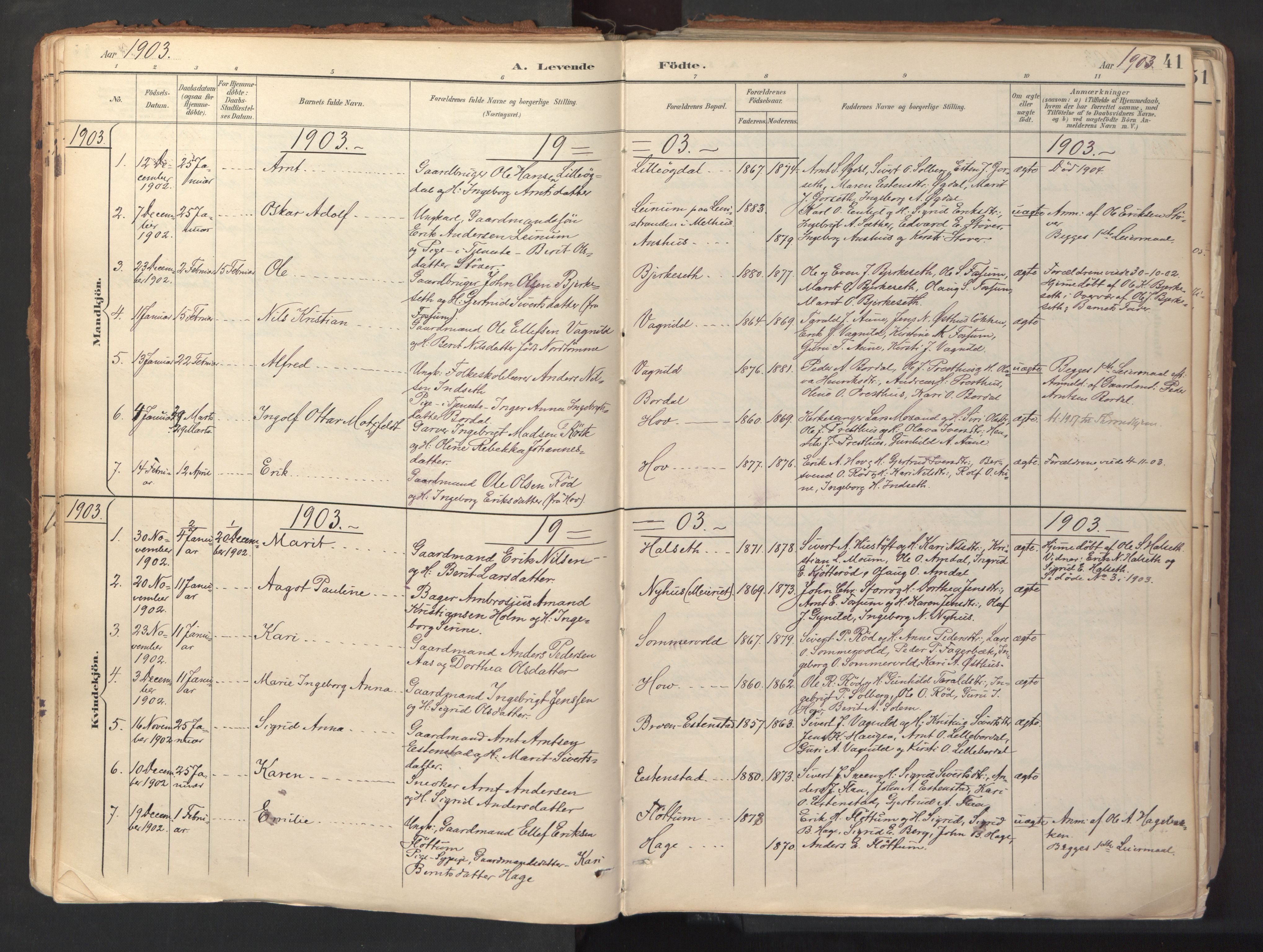 Ministerialprotokoller, klokkerbøker og fødselsregistre - Sør-Trøndelag, SAT/A-1456/689/L1041: Parish register (official) no. 689A06, 1891-1923, p. 41