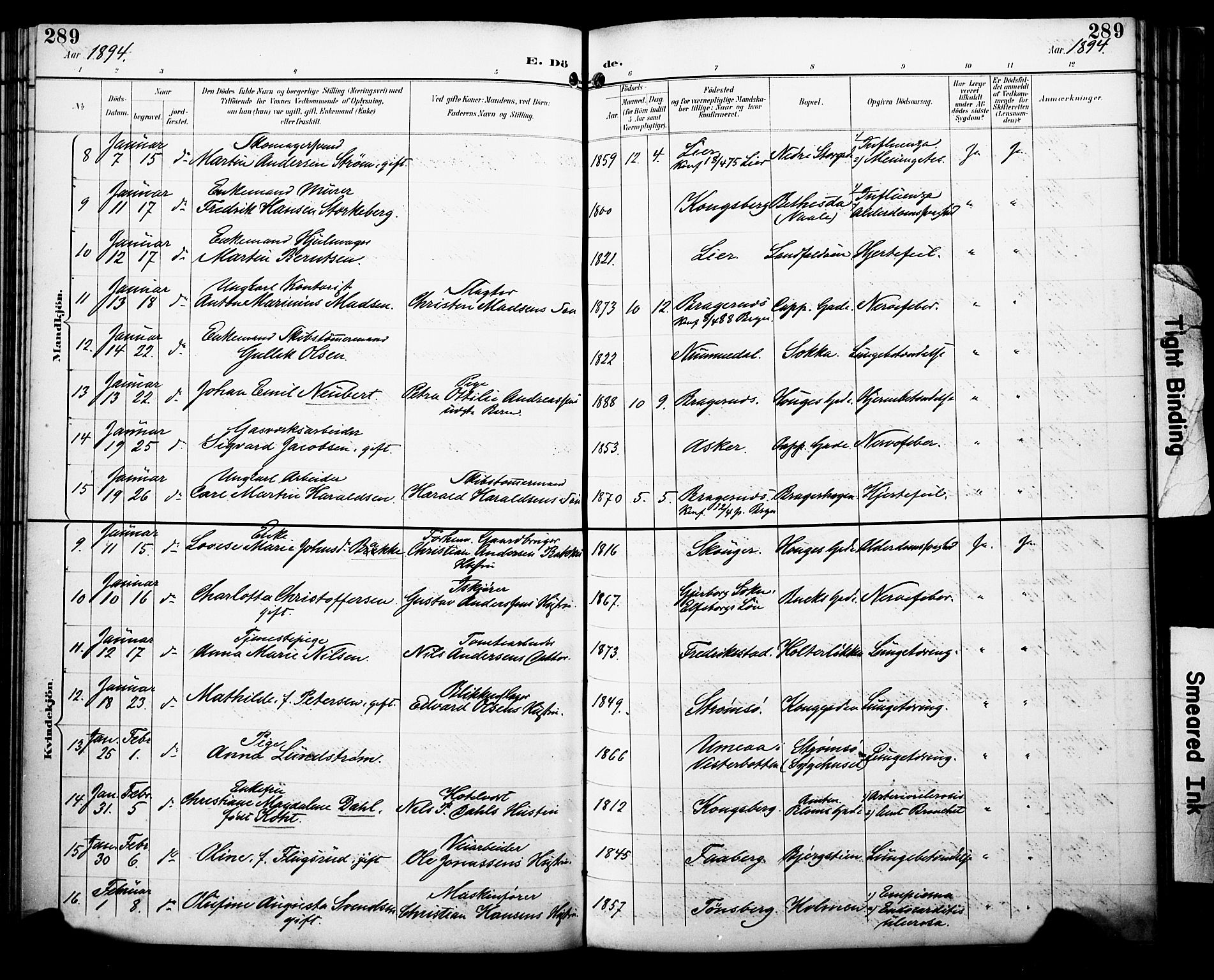 Bragernes kirkebøker, AV/SAKO-A-6/F/Fb/L0008: Parish register (official) no. II 8, 1894-1902, p. 289