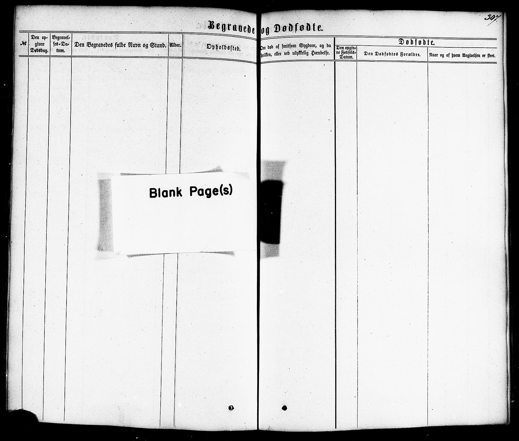 Ministerialprotokoller, klokkerbøker og fødselsregistre - Nordland, AV/SAT-A-1459/872/L1034: Parish register (official) no. 872A09, 1864-1884, p. 307