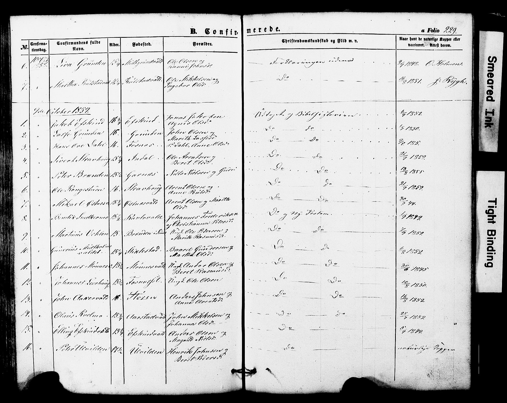 Ministerialprotokoller, klokkerbøker og fødselsregistre - Nord-Trøndelag, AV/SAT-A-1458/724/L0268: Parish register (copy) no. 724C04, 1846-1878, p. 229