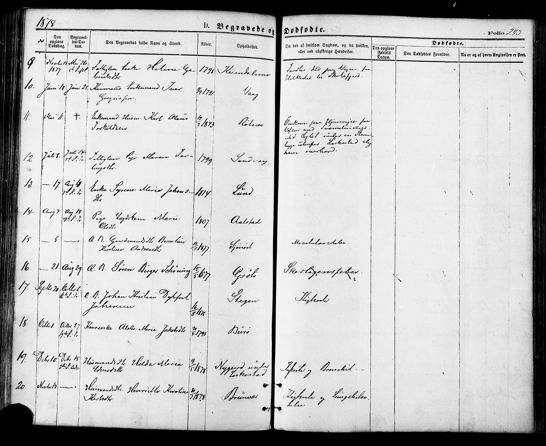 Ministerialprotokoller, klokkerbøker og fødselsregistre - Nordland, SAT/A-1459/855/L0802: Parish register (official) no. 855A10, 1875-1886, p. 243