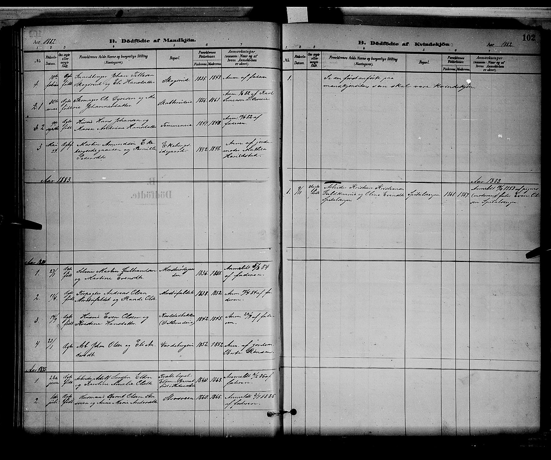 Stange prestekontor, SAH/PREST-002/L/L0008: Parish register (copy) no. 8, 1882-1895, p. 102