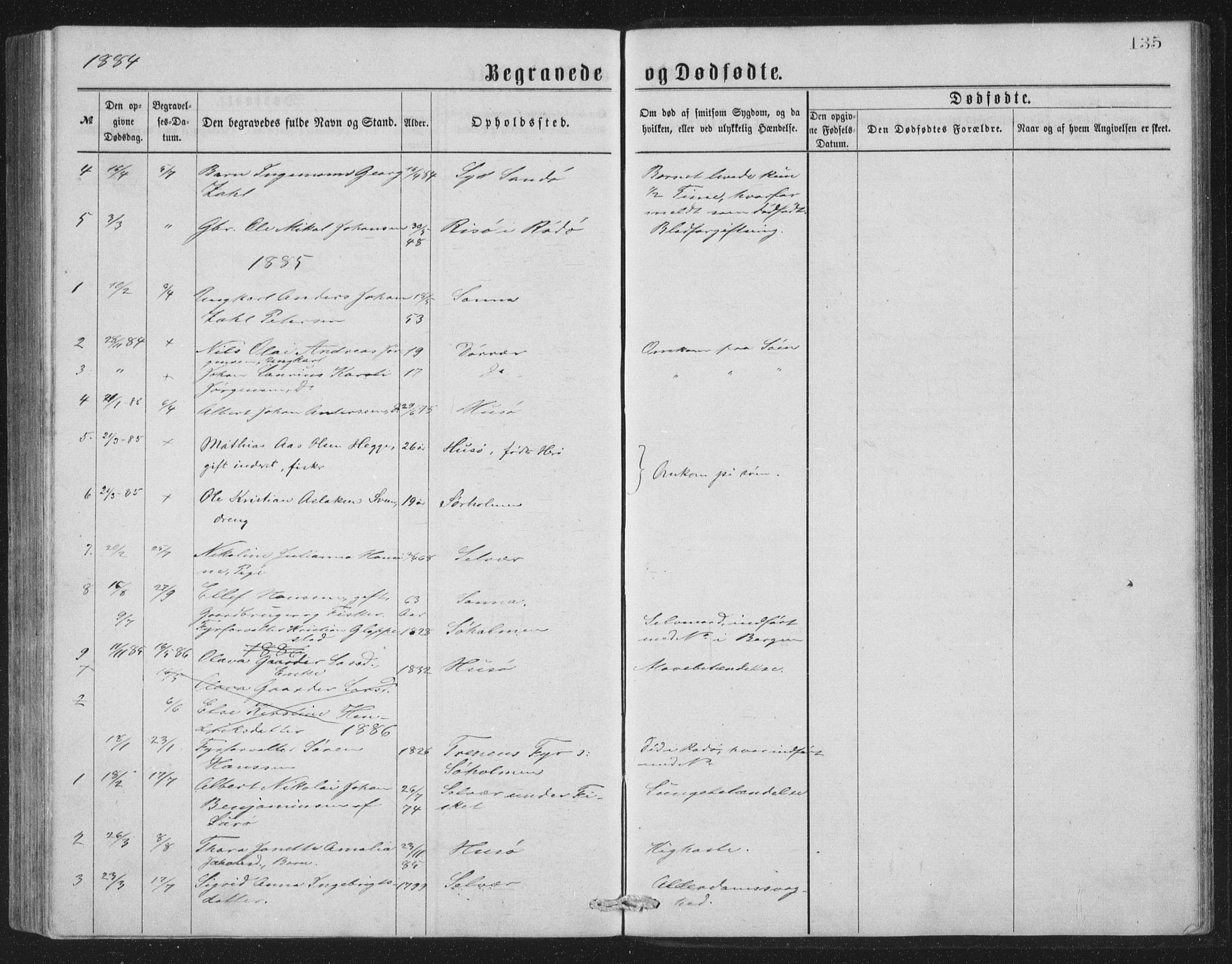 Ministerialprotokoller, klokkerbøker og fødselsregistre - Nordland, AV/SAT-A-1459/840/L0582: Parish register (copy) no. 840C02, 1874-1900, p. 135