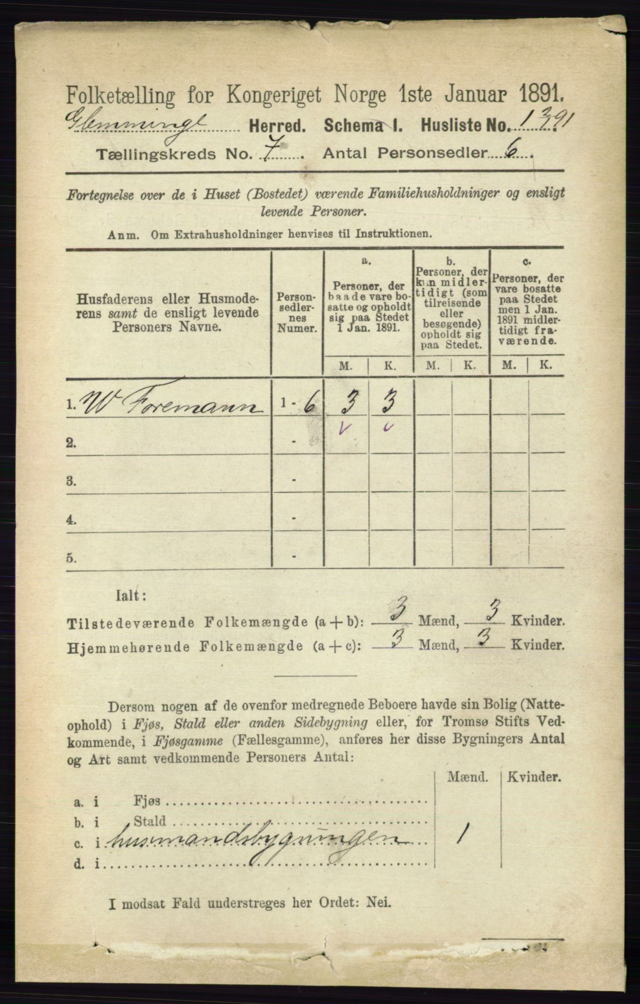 RA, 1891 census for 0132 Glemmen, 1891, p. 9105