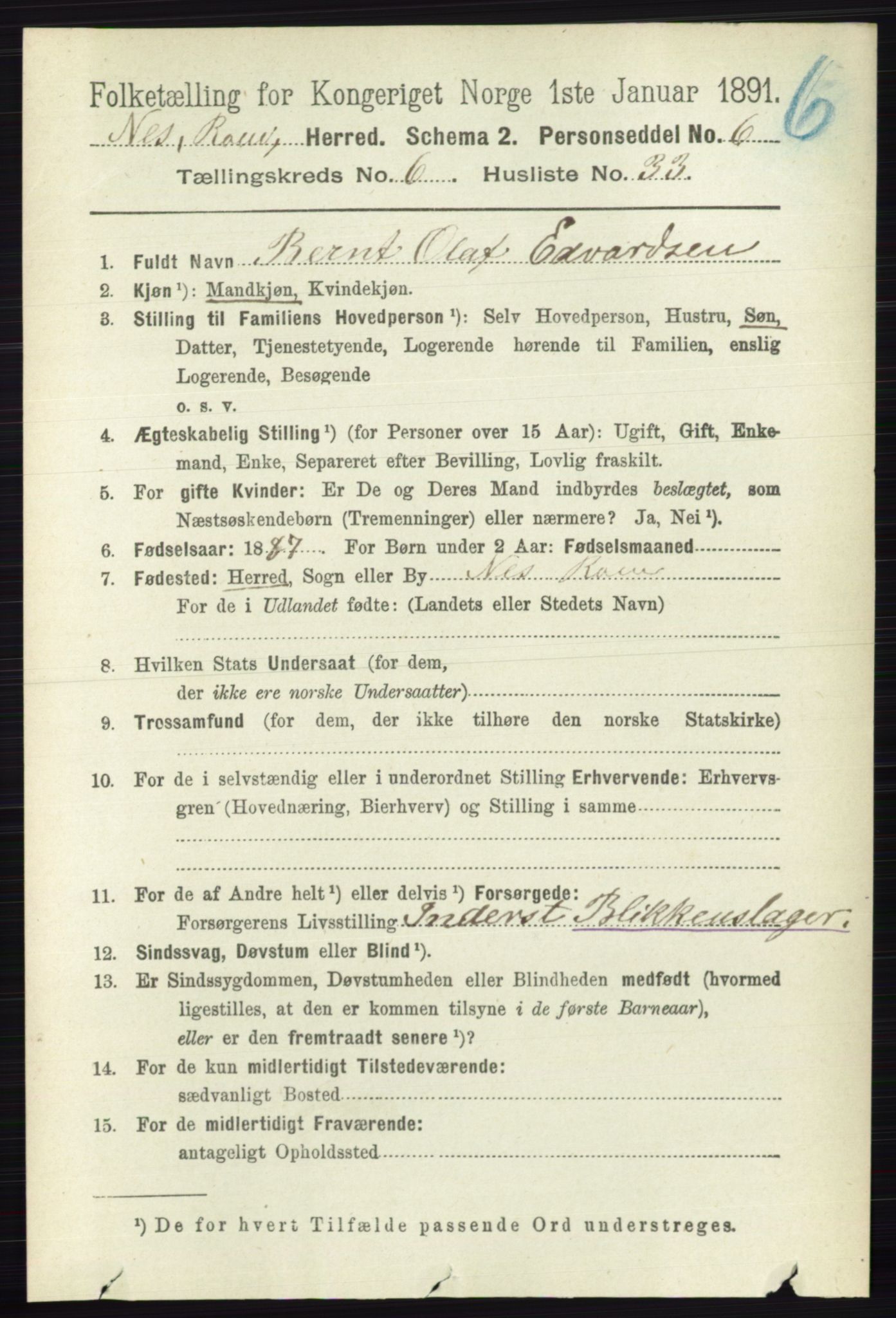 RA, 1891 census for 0236 Nes, 1891, p. 3591