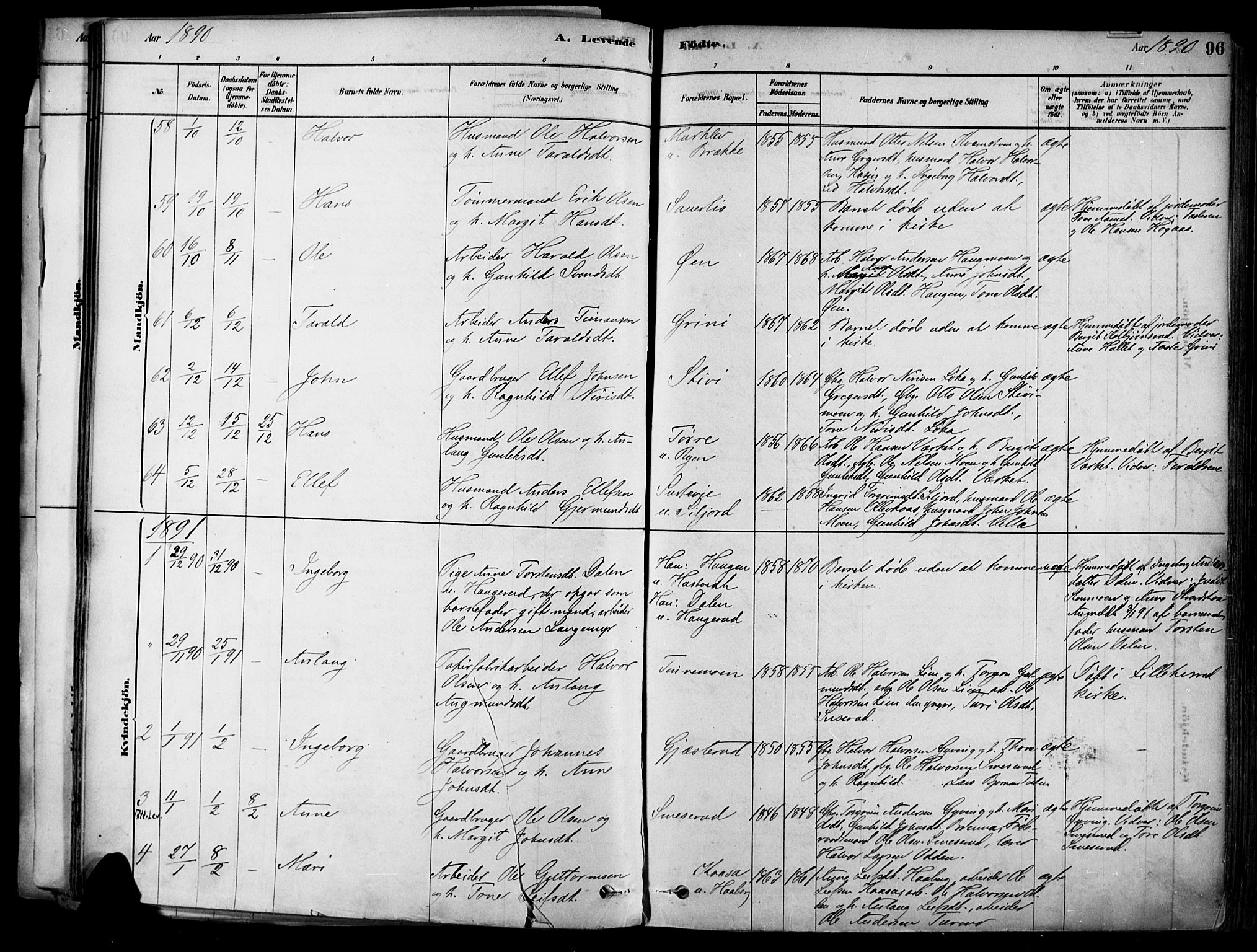 Heddal kirkebøker, SAKO/A-268/F/Fa/L0008: Parish register (official) no. I 8, 1878-1903, p. 96