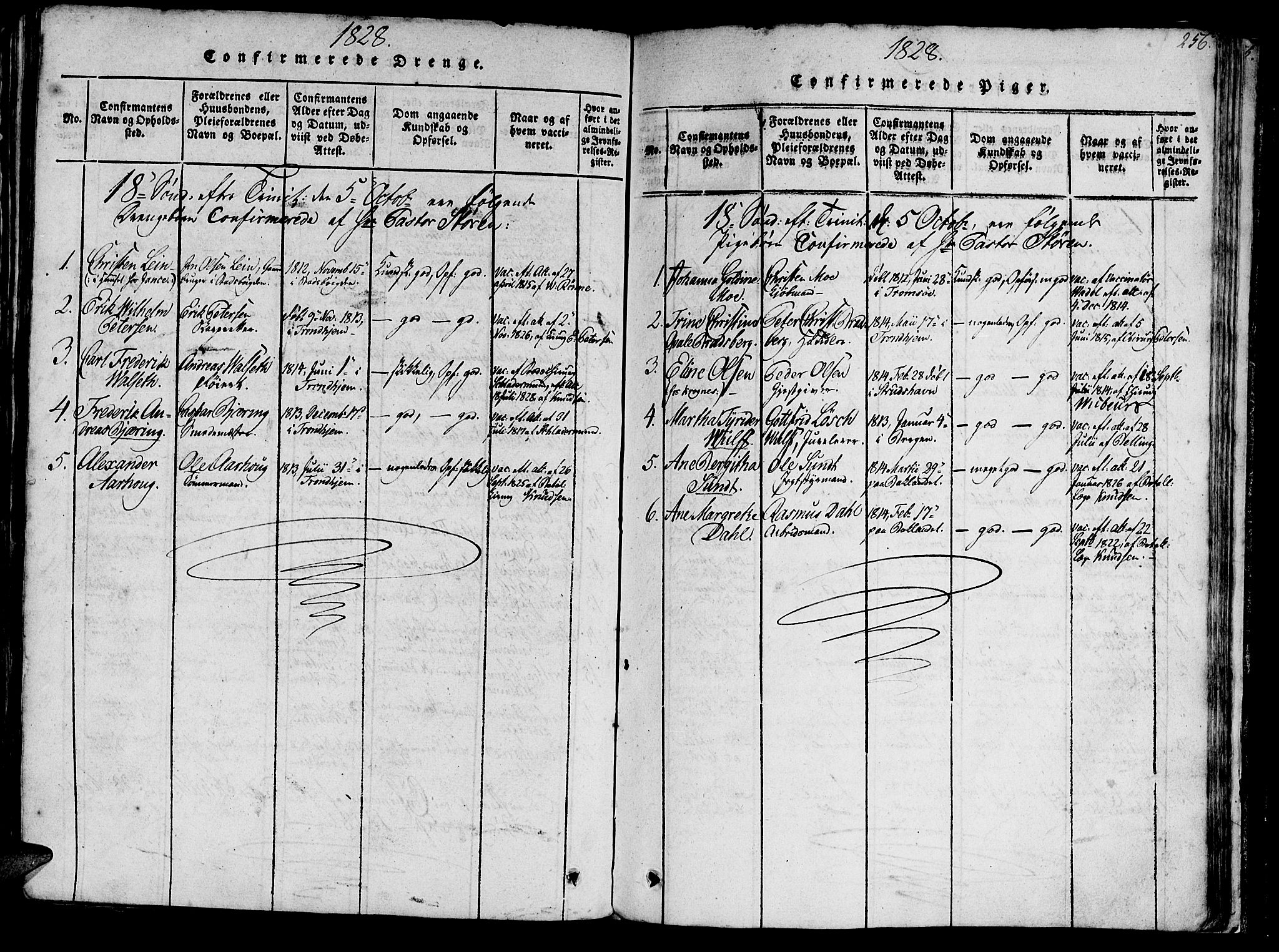 Ministerialprotokoller, klokkerbøker og fødselsregistre - Sør-Trøndelag, SAT/A-1456/602/L0135: Parish register (copy) no. 602C03, 1815-1832, p. 256