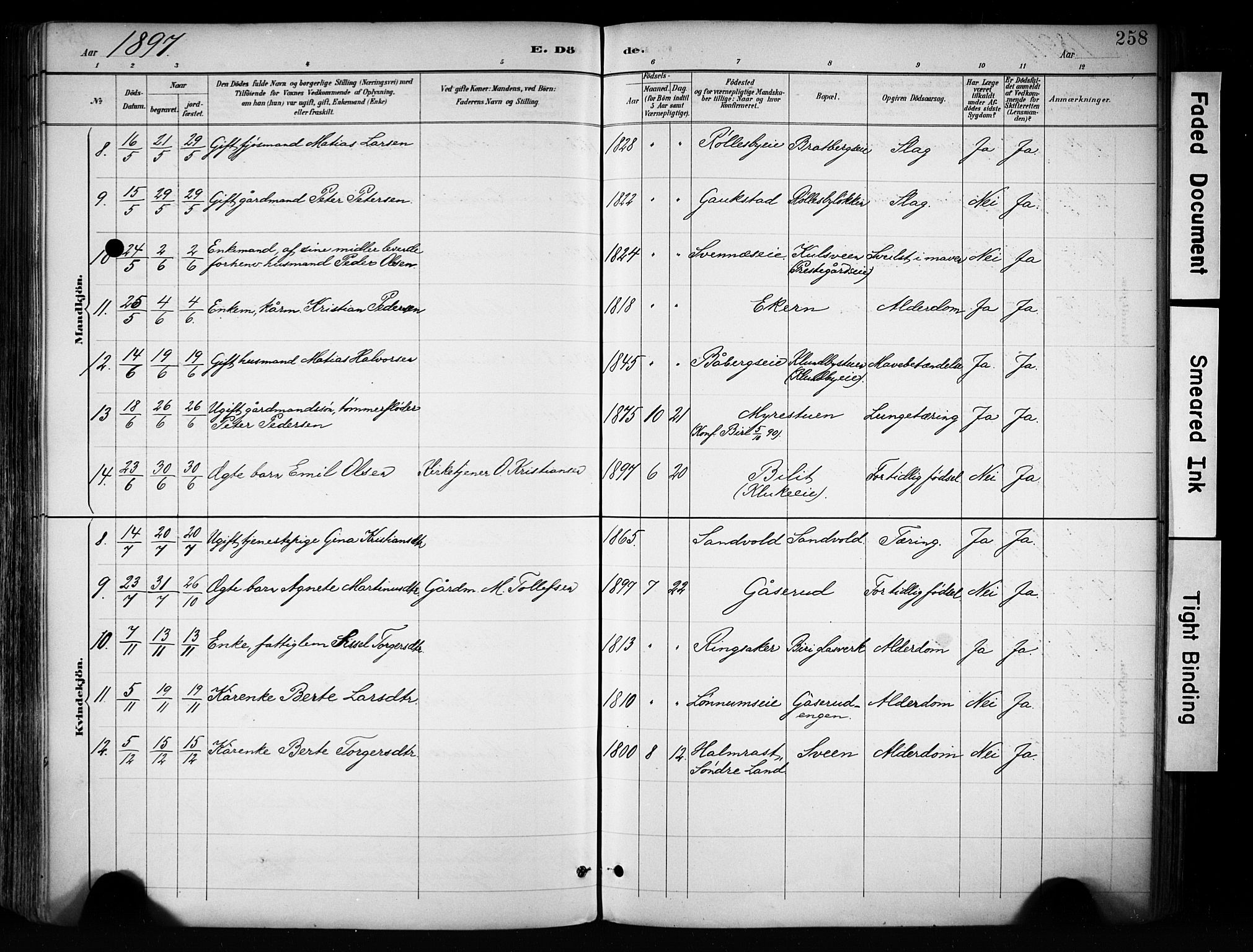 Biri prestekontor, AV/SAH-PREST-096/H/Ha/Haa/L0009: Parish register (official) no. 9, 1887-1900, p. 258