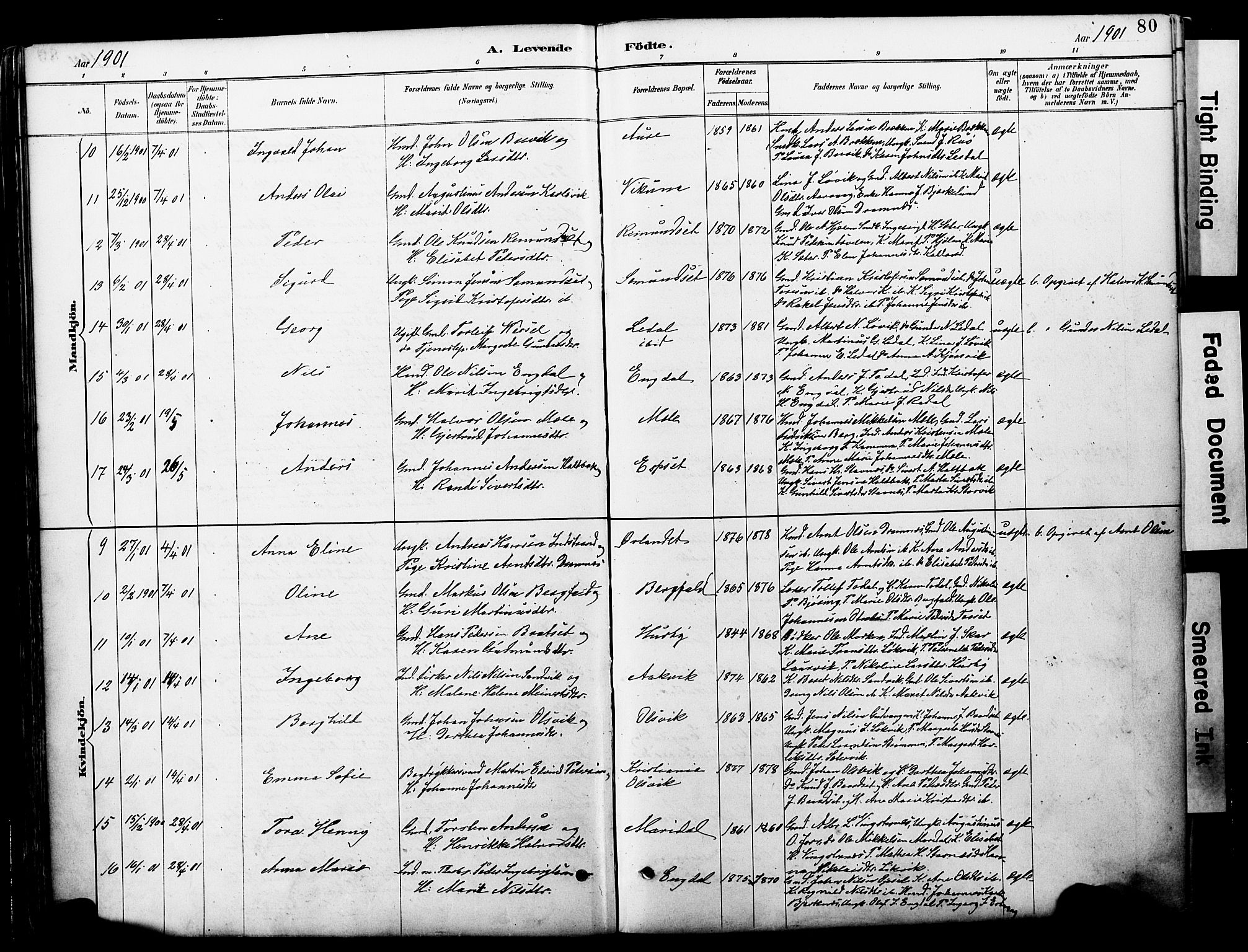 Ministerialprotokoller, klokkerbøker og fødselsregistre - Møre og Romsdal, AV/SAT-A-1454/578/L0907: Parish register (official) no. 578A06, 1887-1904, p. 80