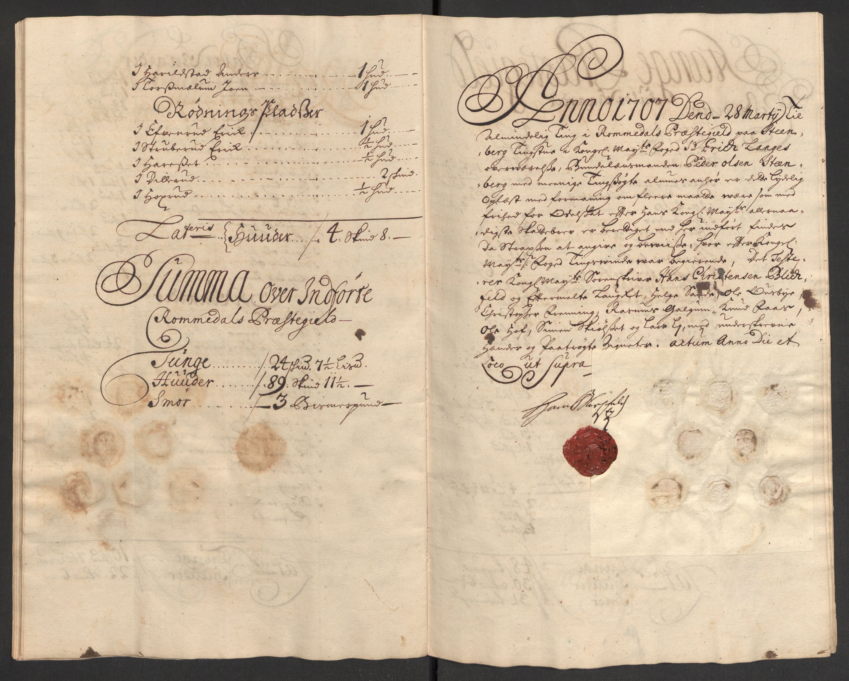 Rentekammeret inntil 1814, Reviderte regnskaper, Fogderegnskap, RA/EA-4092/R16/L1043: Fogderegnskap Hedmark, 1706-1707, p. 446