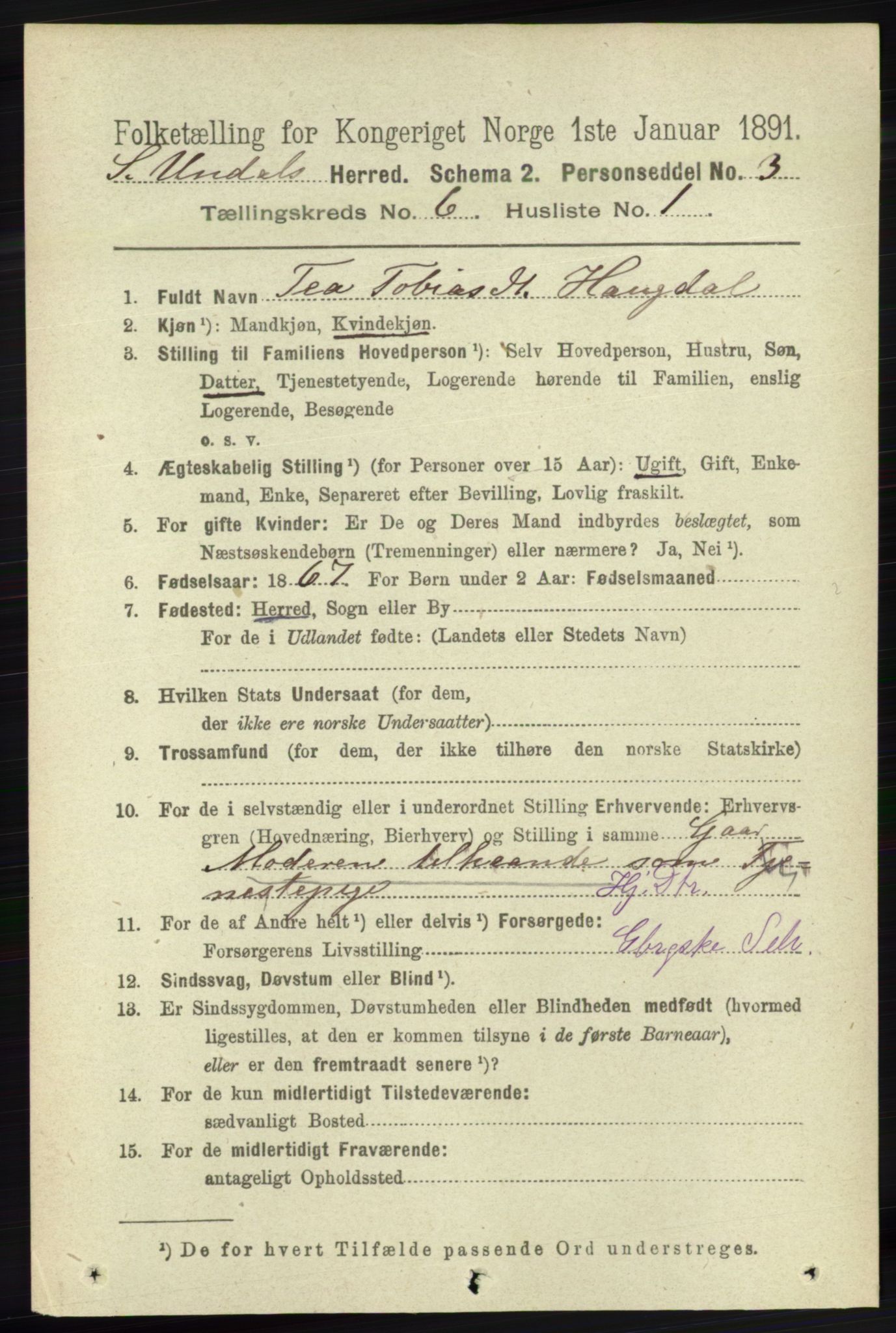 RA, 1891 census for 1029 Sør-Audnedal, 1891, p. 2290