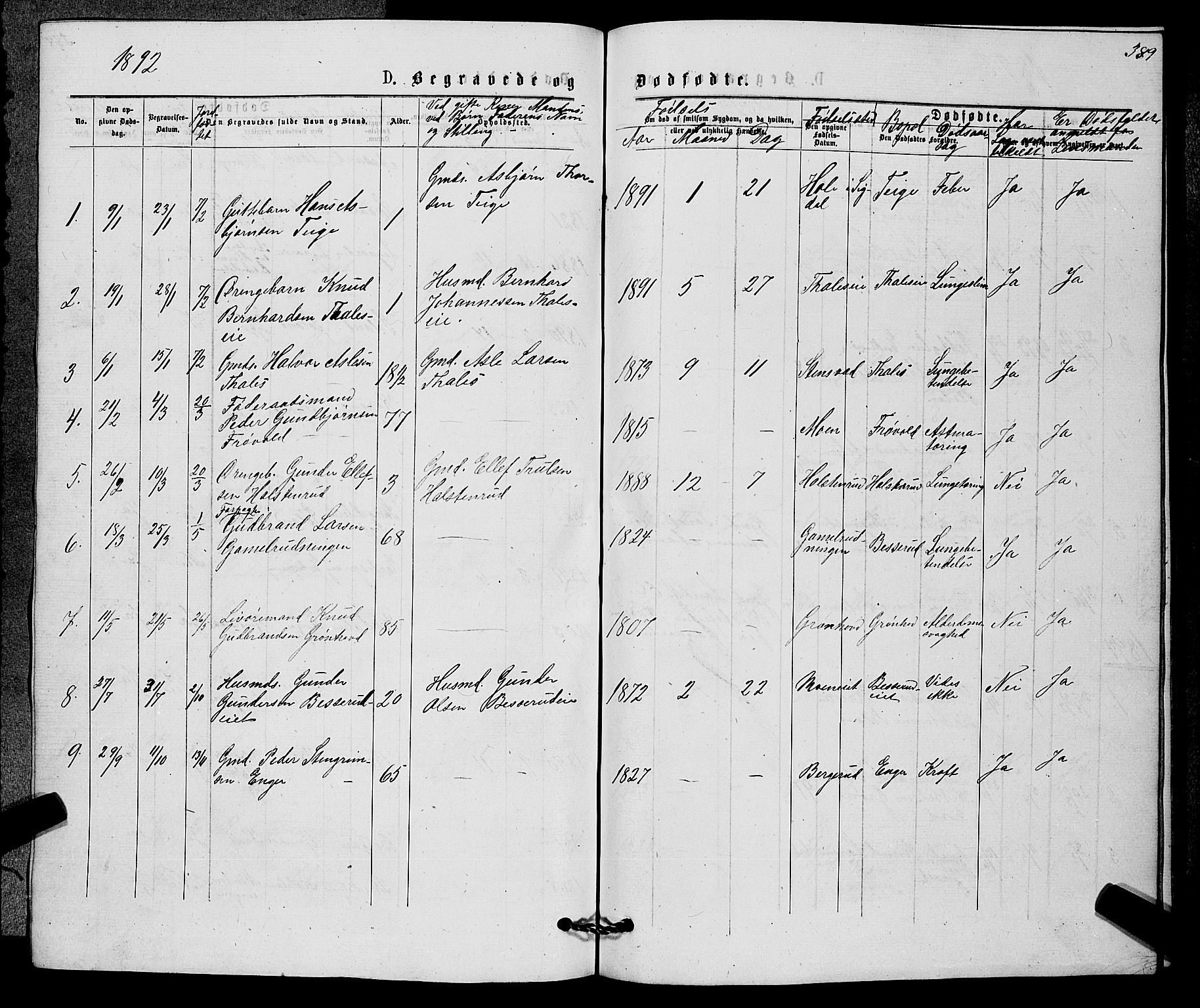 Sigdal kirkebøker, SAKO/A-245/G/Gb/L0002: Parish register (copy) no. II 2, 1875-1900, p. 389