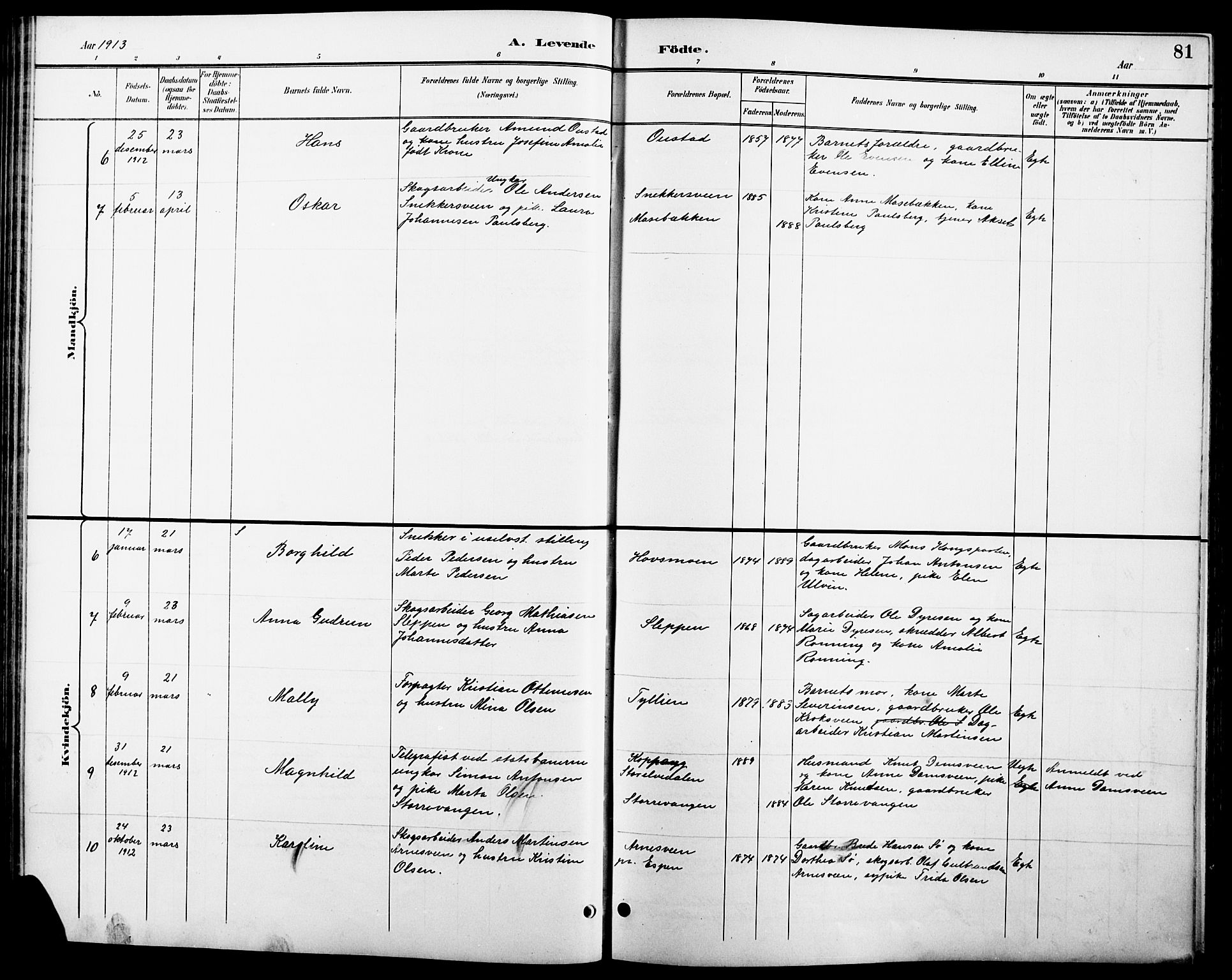 Stange prestekontor, SAH/PREST-002/L/L0011: Parish register (copy) no. 11, 1895-1917, p. 81