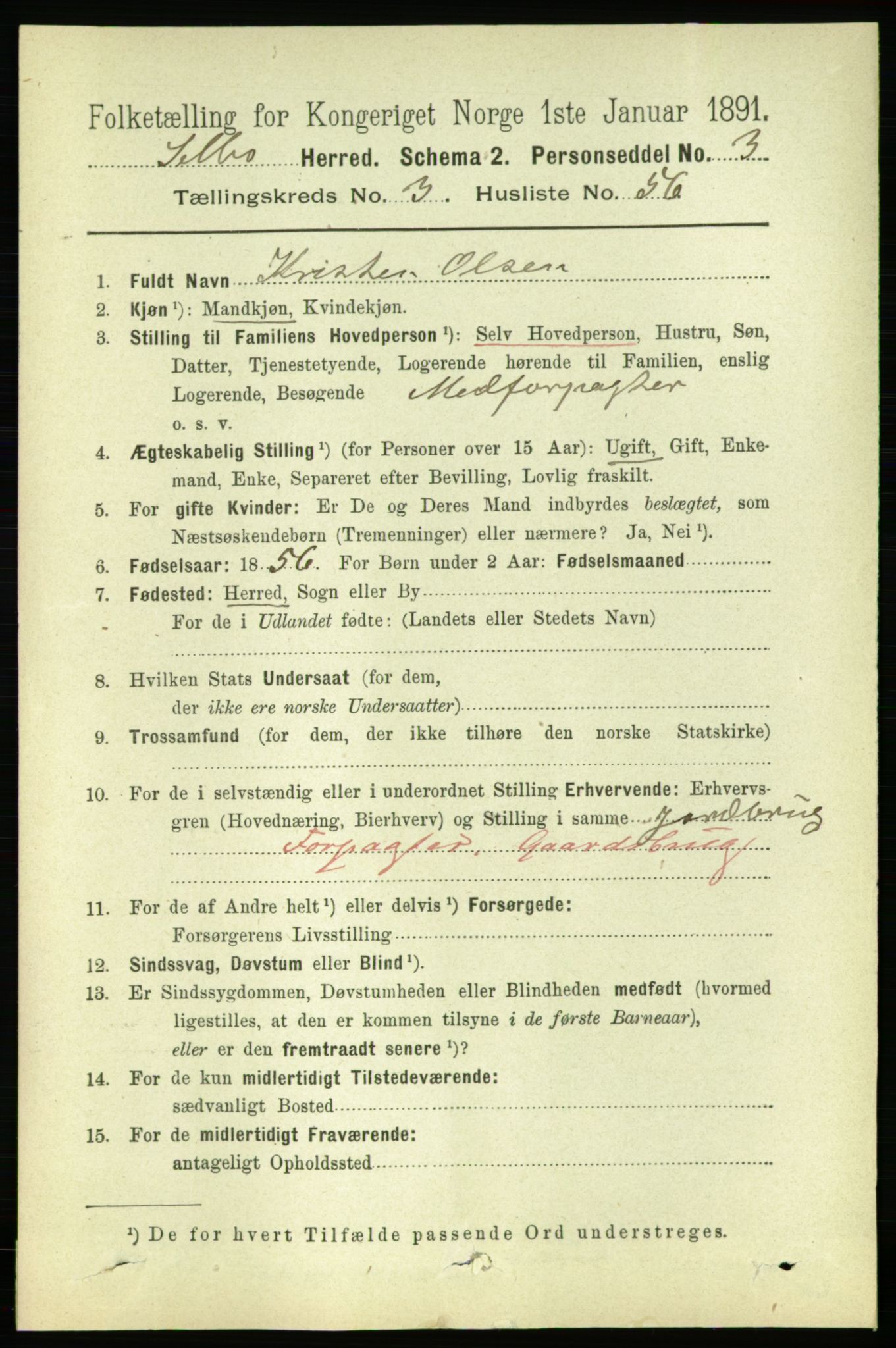 RA, 1891 census for 1664 Selbu, 1891, p. 958