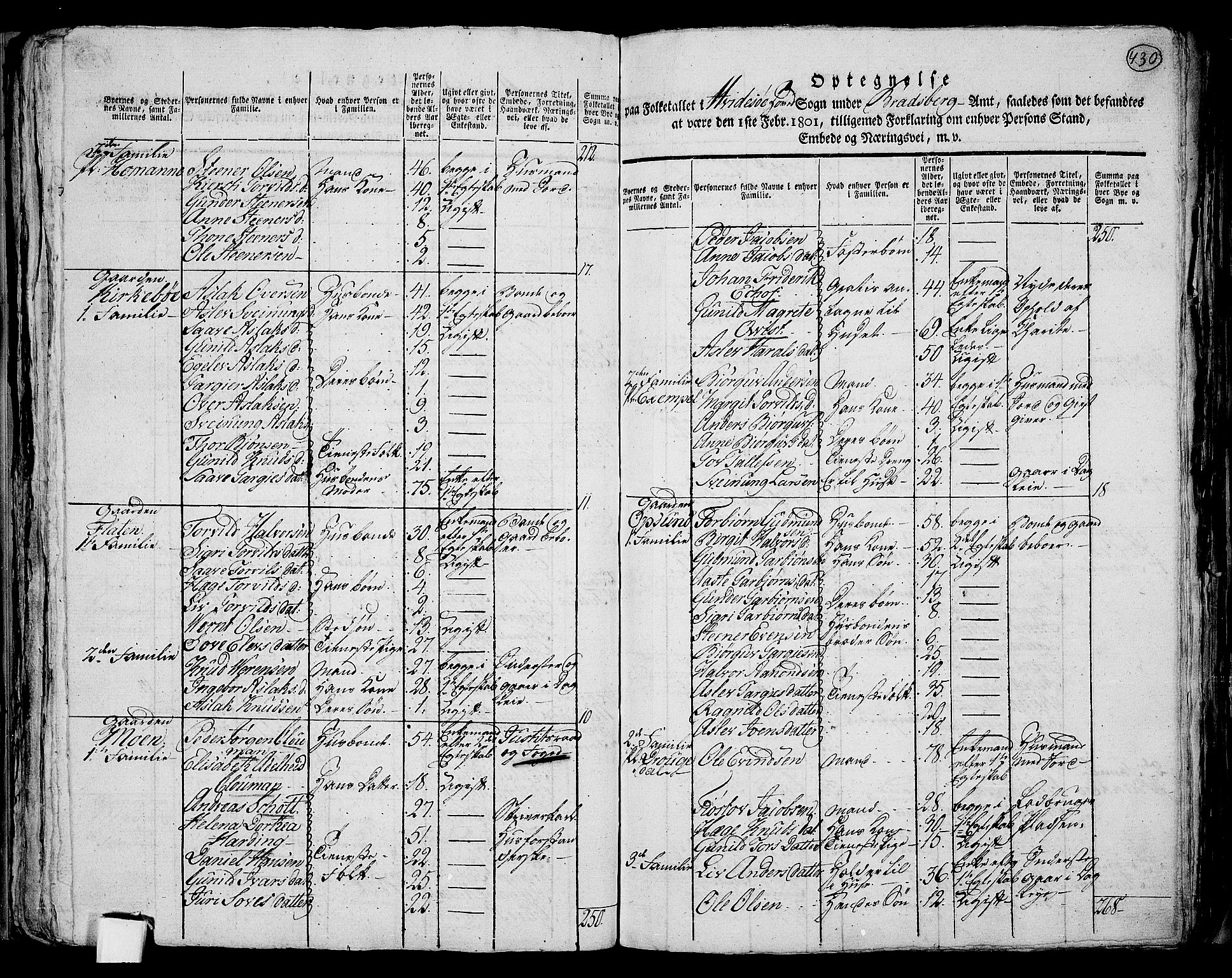 RA, 1801 census for 0829P Kviteseid, 1801, p. 429b-430a