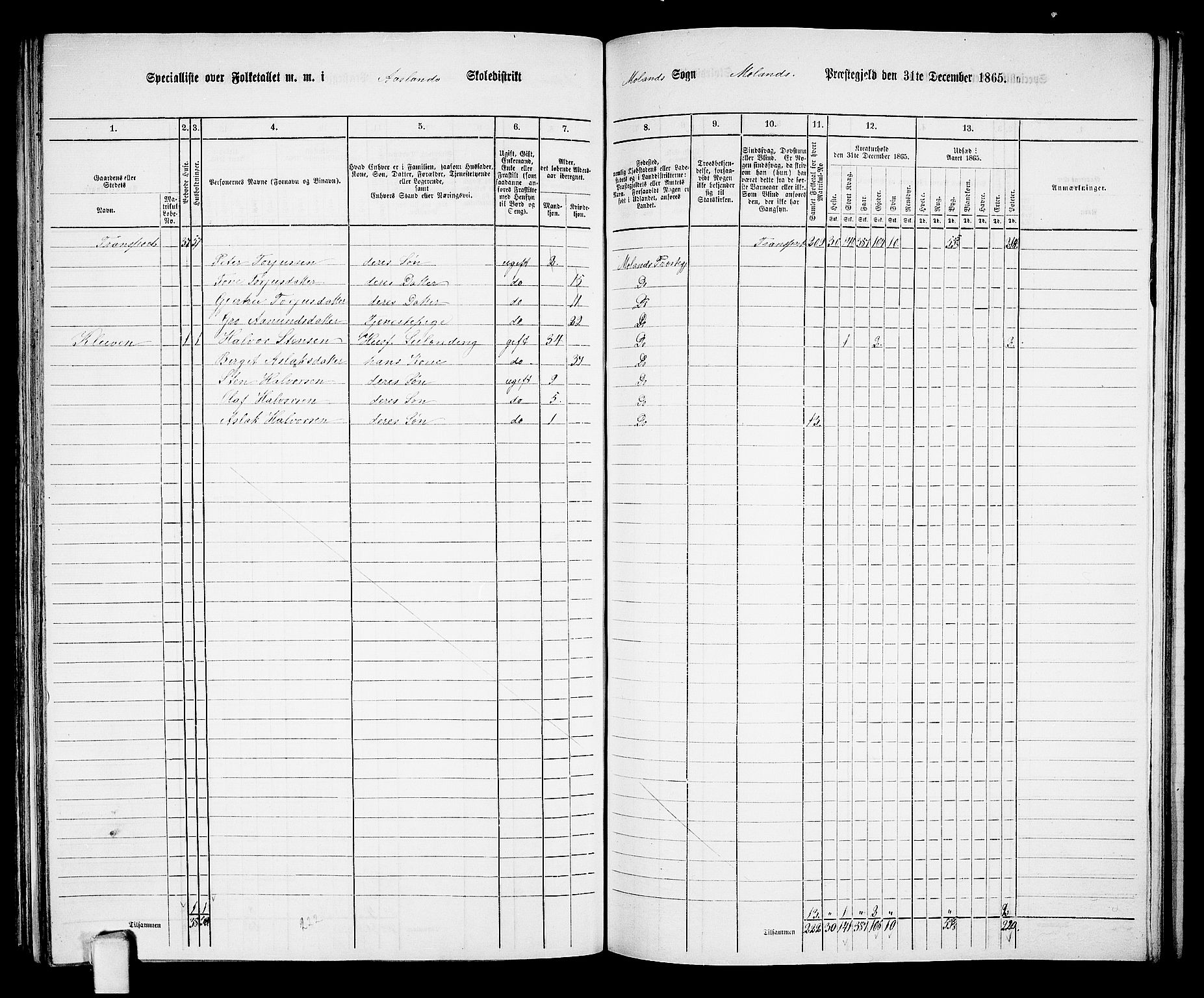 RA, 1865 census for Moland, 1865, p. 45