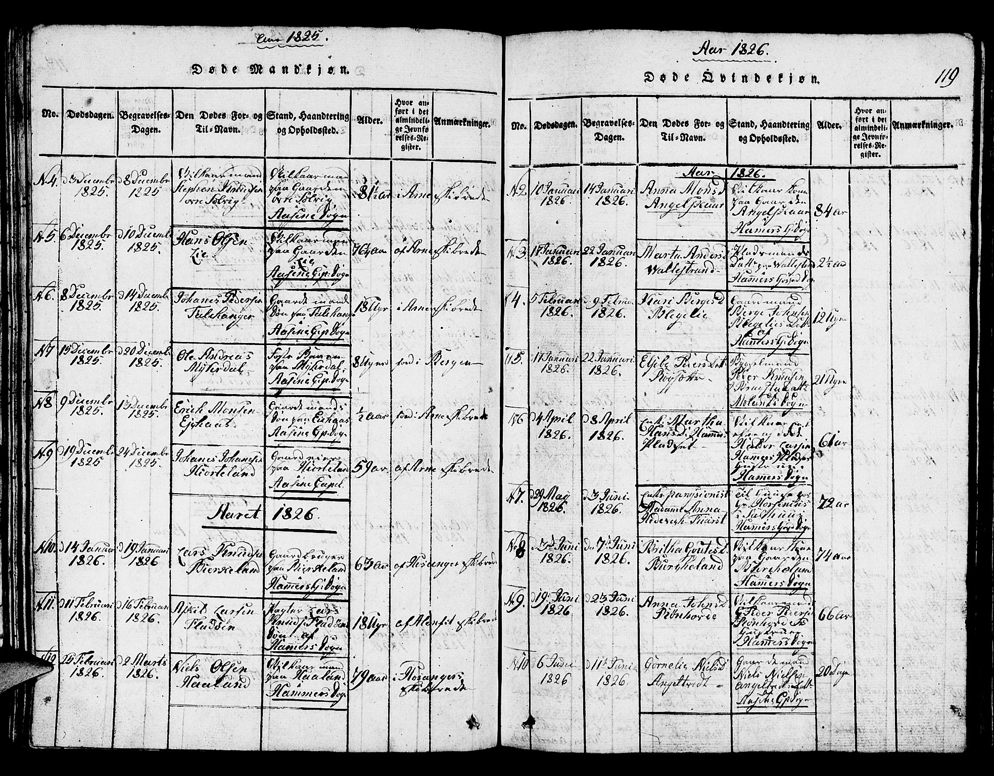 Hamre sokneprestembete, AV/SAB-A-75501/H/Ha/Hab: Parish register (copy) no. A 1, 1816-1826, p. 119