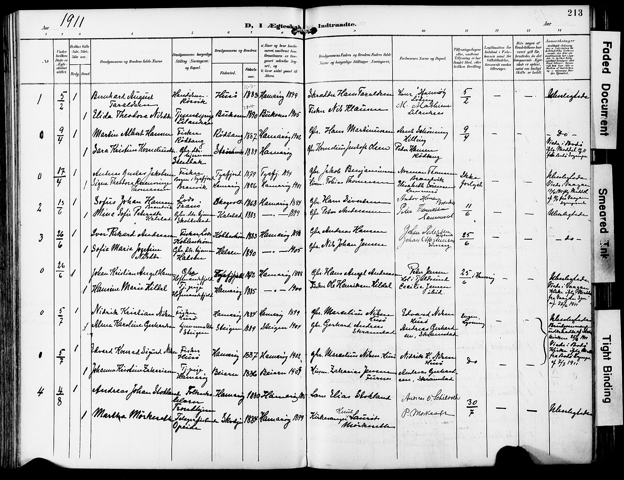 Ministerialprotokoller, klokkerbøker og fødselsregistre - Nordland, AV/SAT-A-1459/859/L0848: Parish register (official) no. 859A08, 1900-1912, p. 213