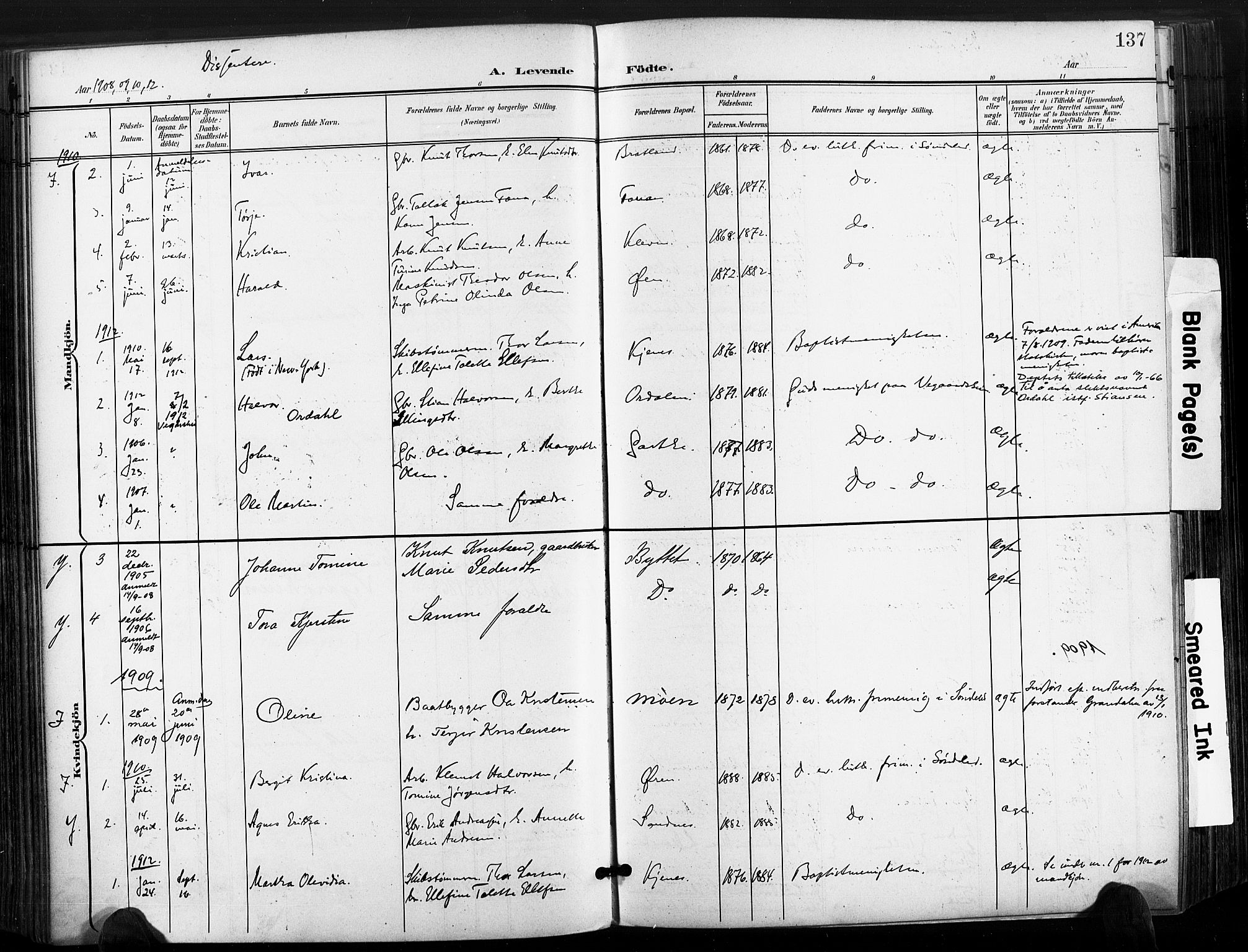 Søndeled sokneprestkontor, AV/SAK-1111-0038/F/Fa/L0006: Parish register (official) no. A 6, 1900-1922, p. 137