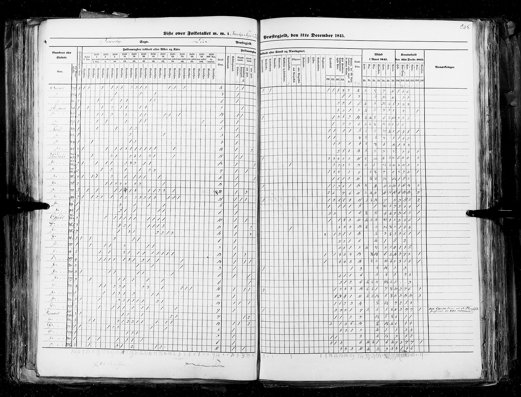 RA, Census 1845, vol. 4: Buskerud amt og Jarlsberg og Larvik amt, 1845, p. 245