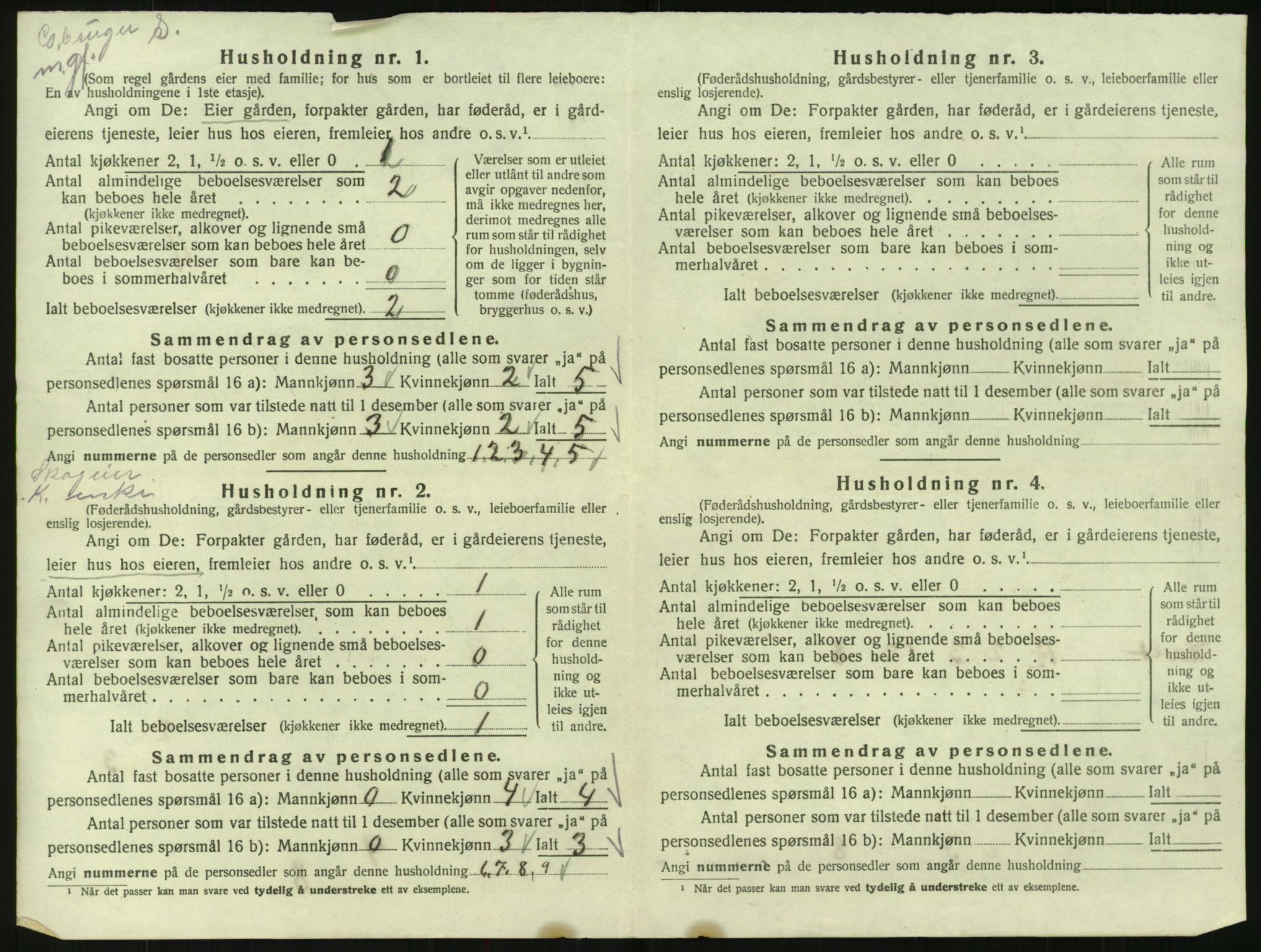 SAK, 1920 census for Bygland, 1920, p. 896