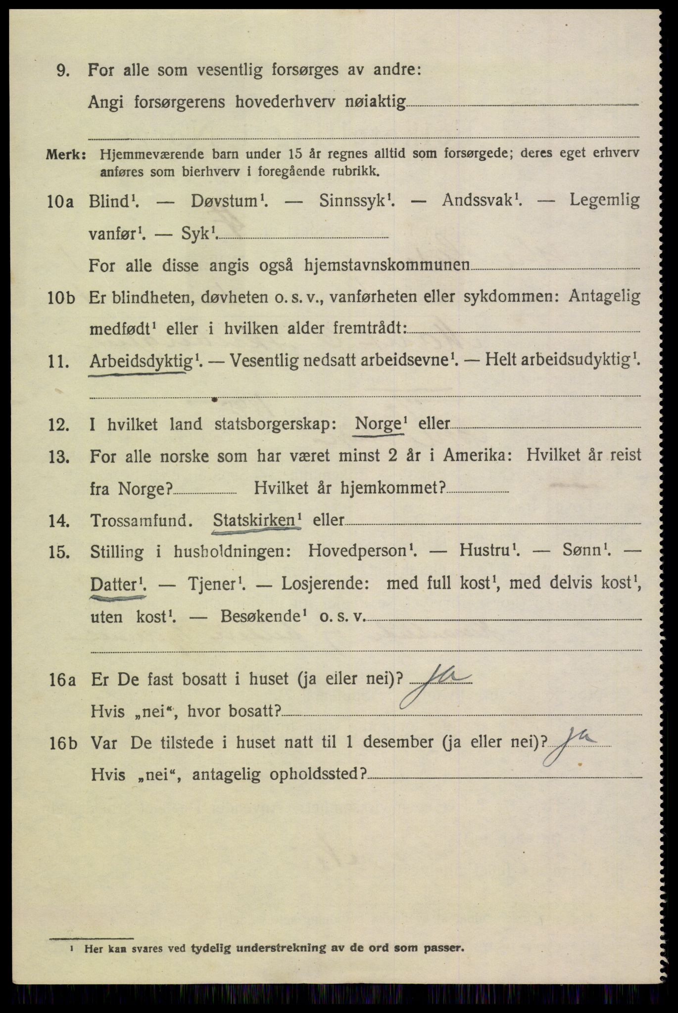 SAH, 1920 census for Øystre Slidre, 1920, p. 1010