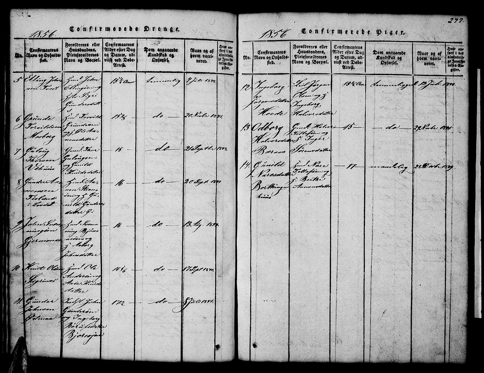 Åmli sokneprestkontor, SAK/1111-0050/F/Fb/Fbc/L0001: Parish register (copy) no. B 1, 1816-1867, p. 277