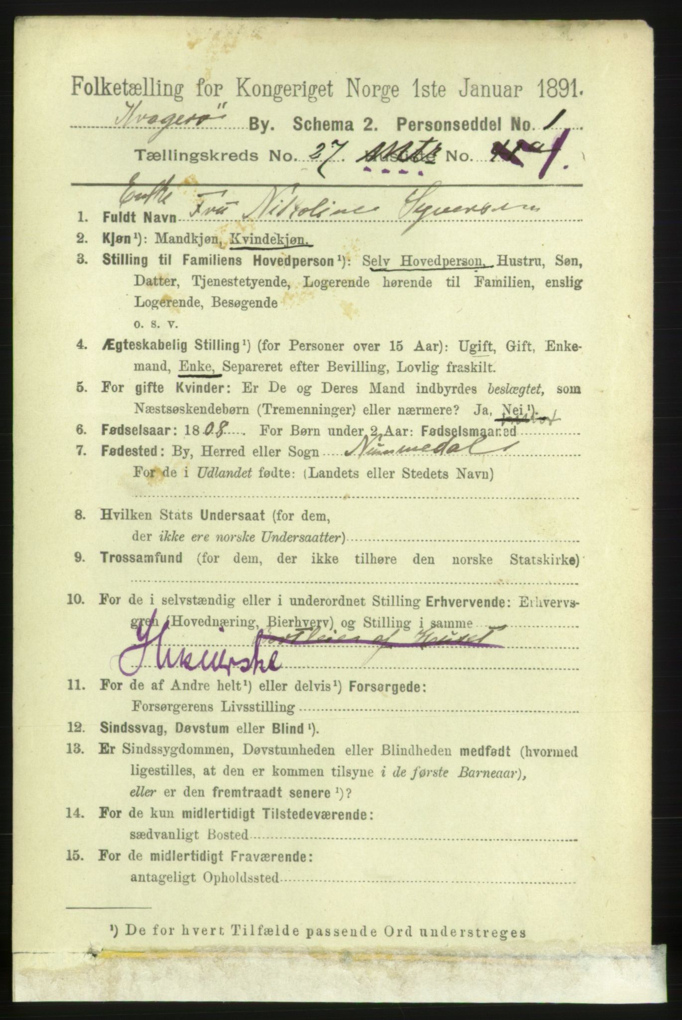 RA, 1891 census for 0801 Kragerø, 1891, p. 5290