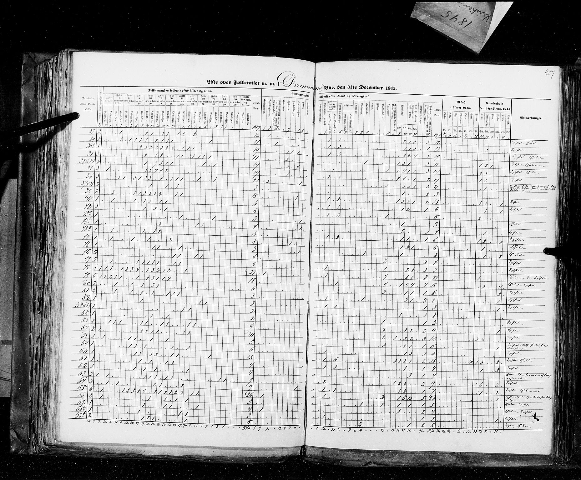 RA, Census 1845, vol. 10: Cities, 1845, p. 207