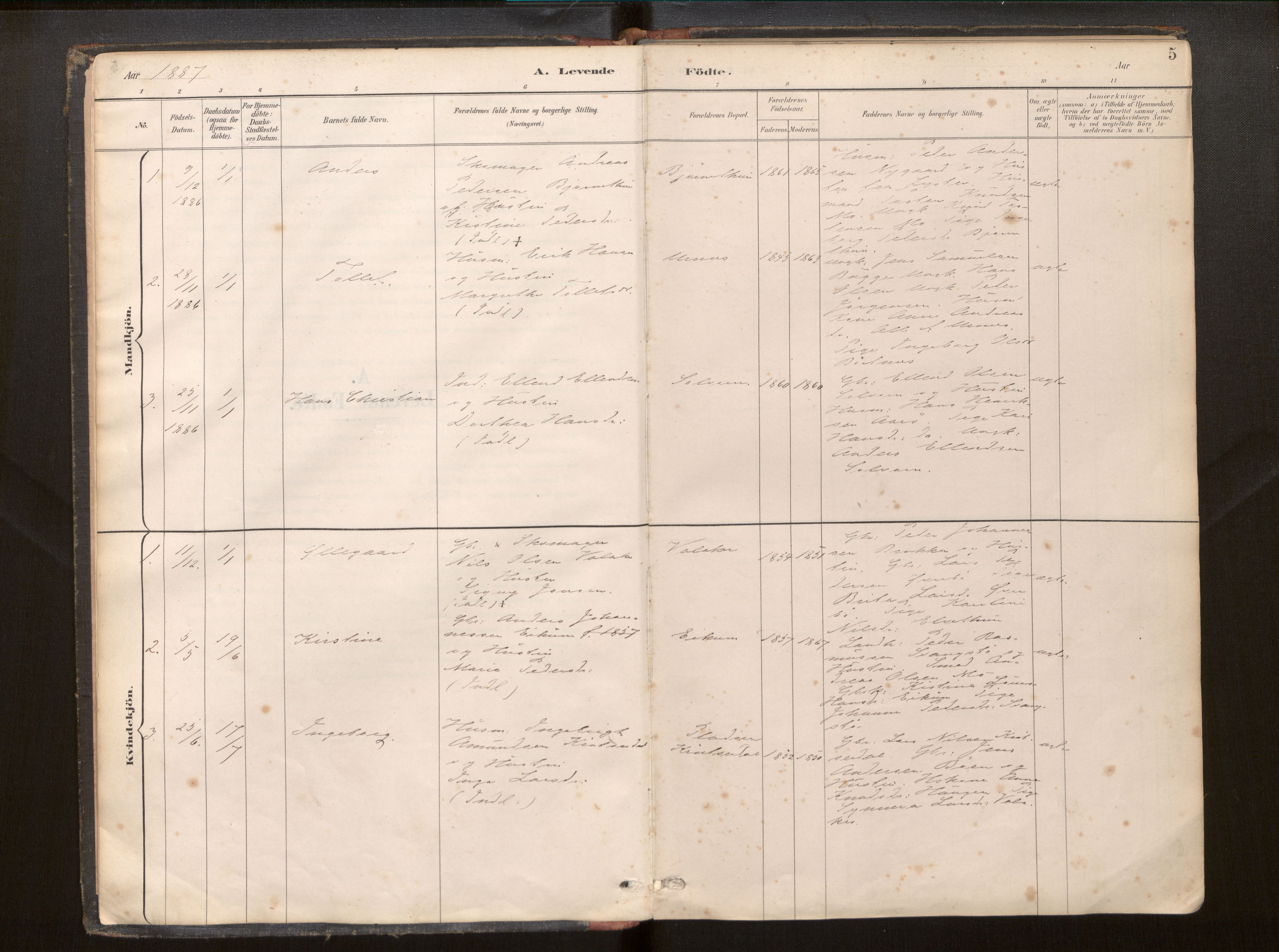 Hafslo sokneprestembete, SAB/A-80301/H/Haa/Haac/L0001: Parish register (official) no. C 1, 1886-1944, p. 5