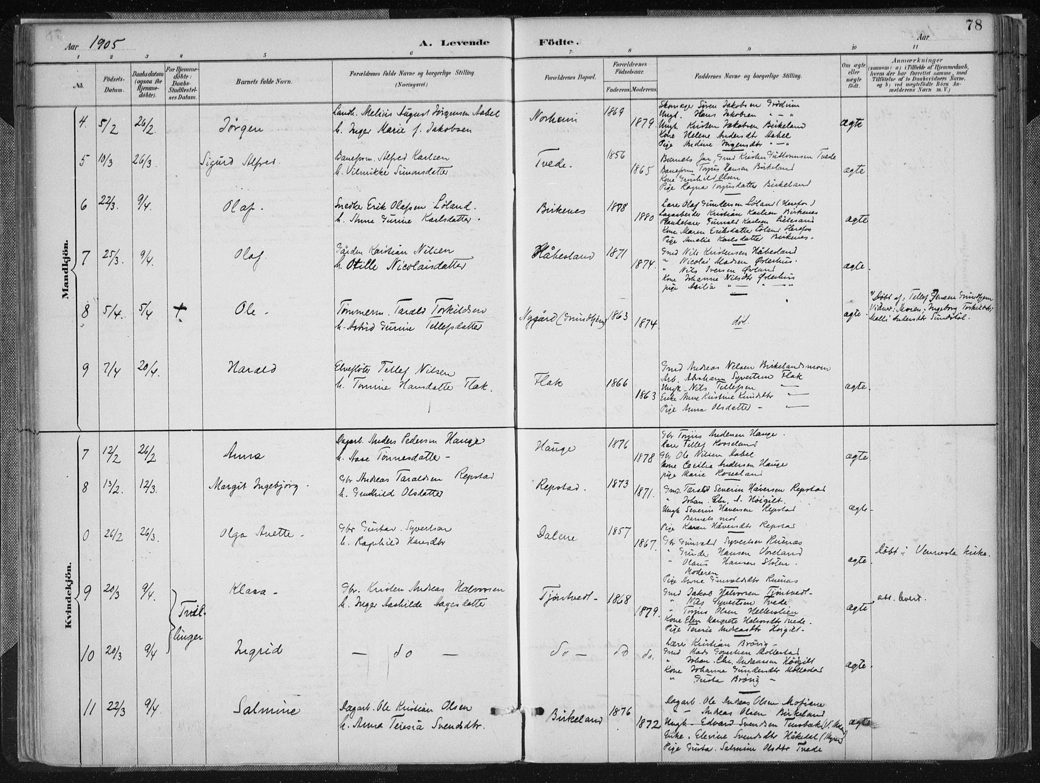 Birkenes sokneprestkontor, SAK/1111-0004/F/Fa/L0005: Parish register (official) no. A 5, 1887-1907, p. 78