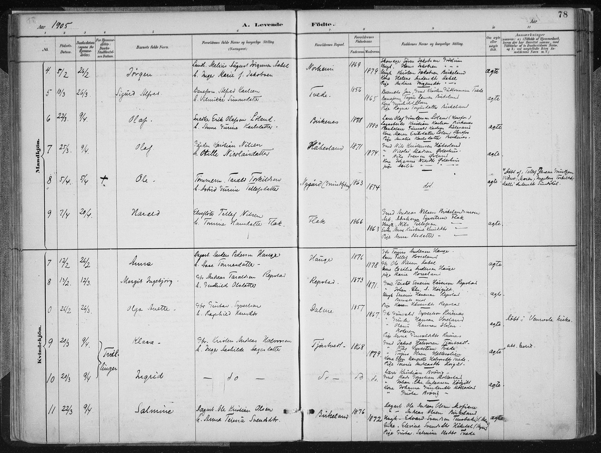 Birkenes sokneprestkontor, AV/SAK-1111-0004/F/Fa/L0005: Parish register (official) no. A 5, 1887-1907, p. 78