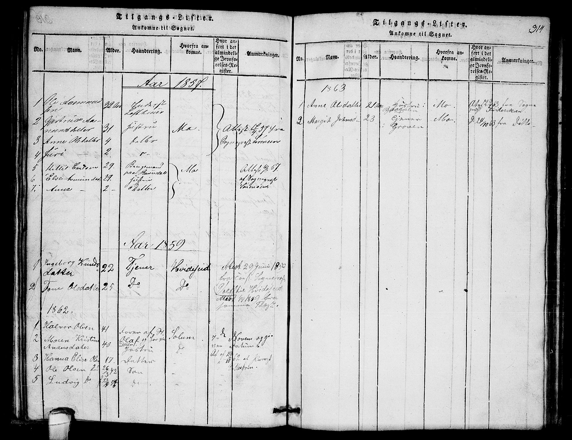 Lårdal kirkebøker, SAKO/A-284/G/Gb/L0001: Parish register (copy) no. II 1, 1815-1865, p. 314