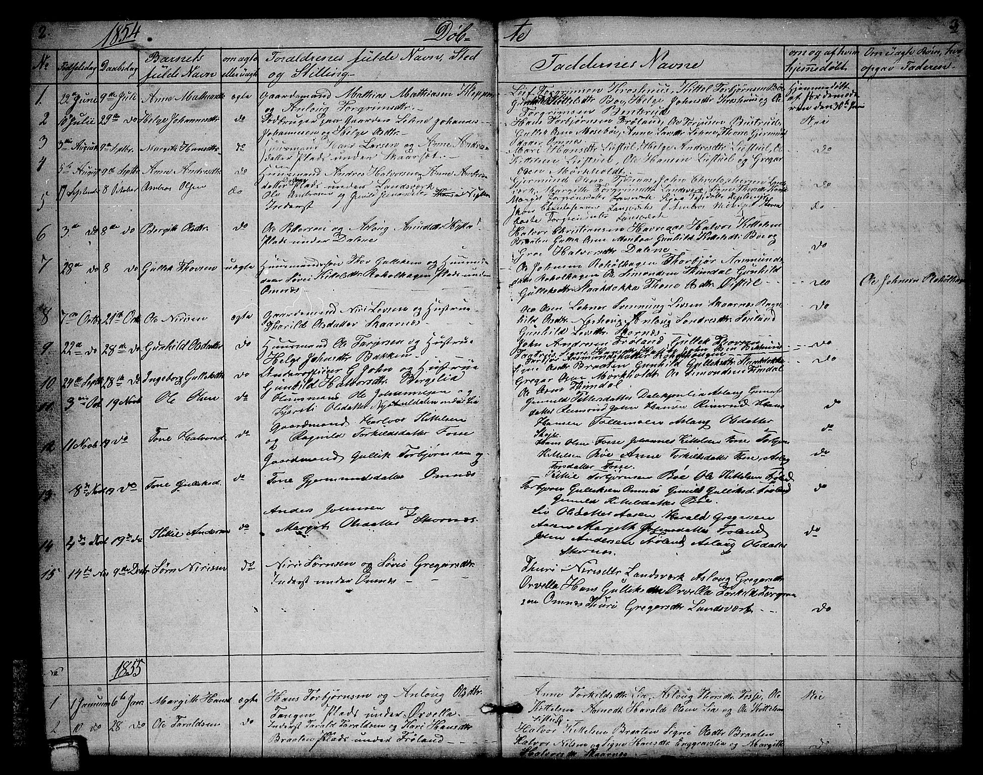 Hjartdal kirkebøker, SAKO/A-270/G/Gb/L0002: Parish register (copy) no. II 2, 1854-1884, p. 2-3