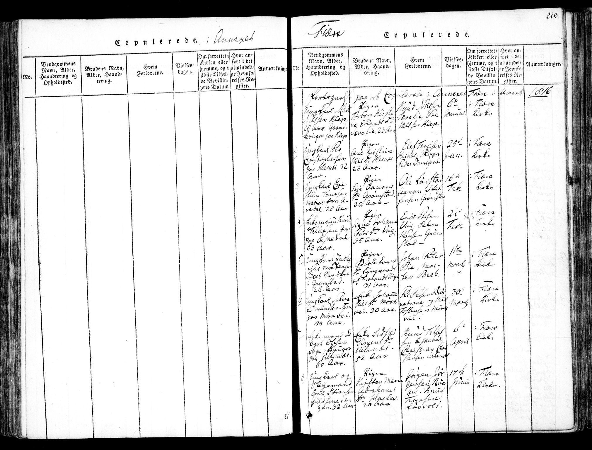 Fjære sokneprestkontor, SAK/1111-0011/F/Fb/L0007: Parish register (copy) no. B 7, 1816-1826, p. 210