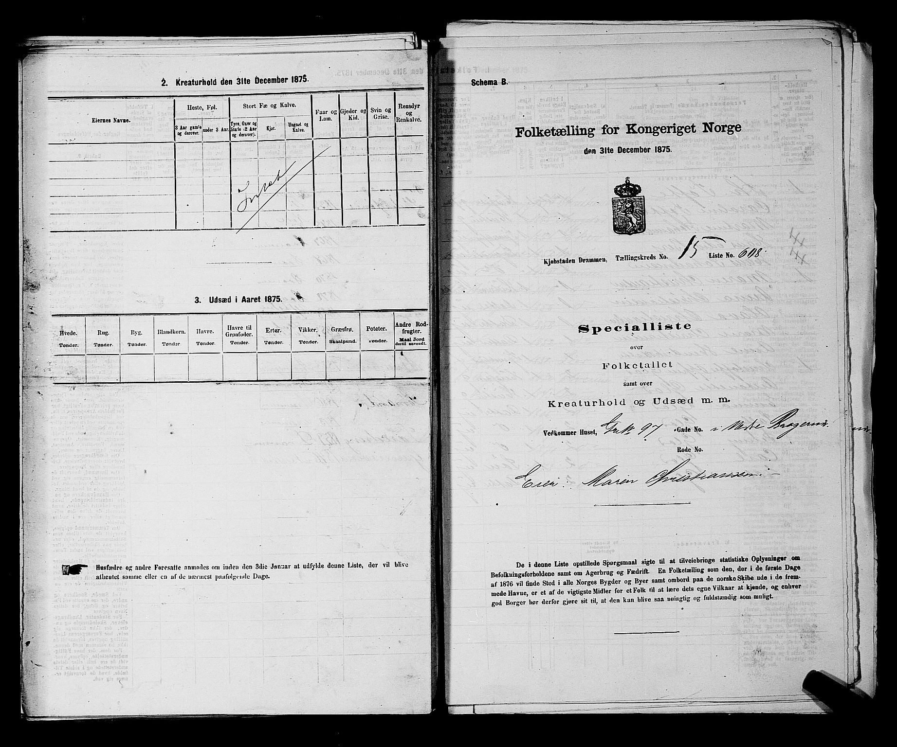 SAKO, 1875 census for 0602 Drammen, 1875, p. 1727