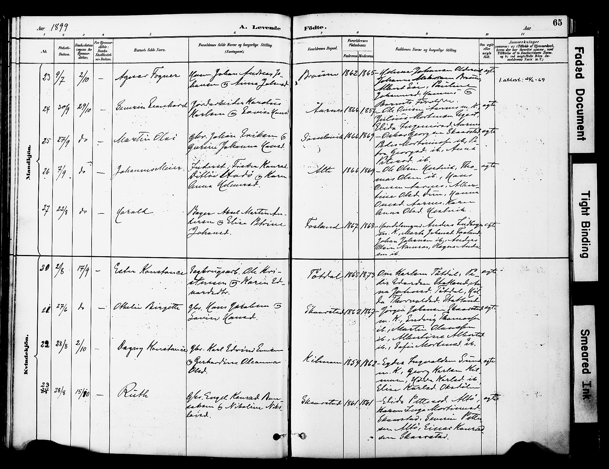 Ministerialprotokoller, klokkerbøker og fødselsregistre - Nord-Trøndelag, SAT/A-1458/774/L0628: Parish register (official) no. 774A02, 1887-1903, p. 65