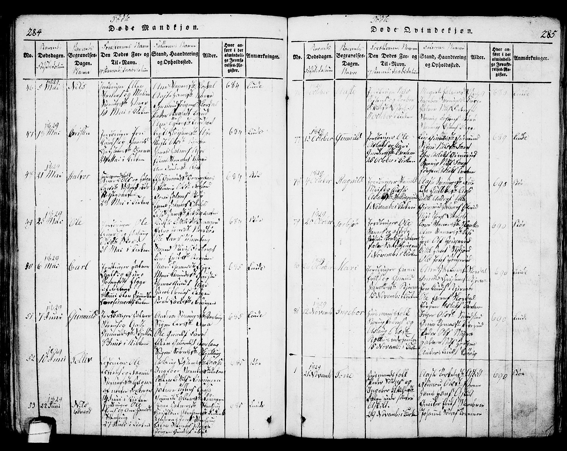 Bø kirkebøker, SAKO/A-257/G/Ga/L0001: Parish register (copy) no. 1, 1815-1831, p. 284-285